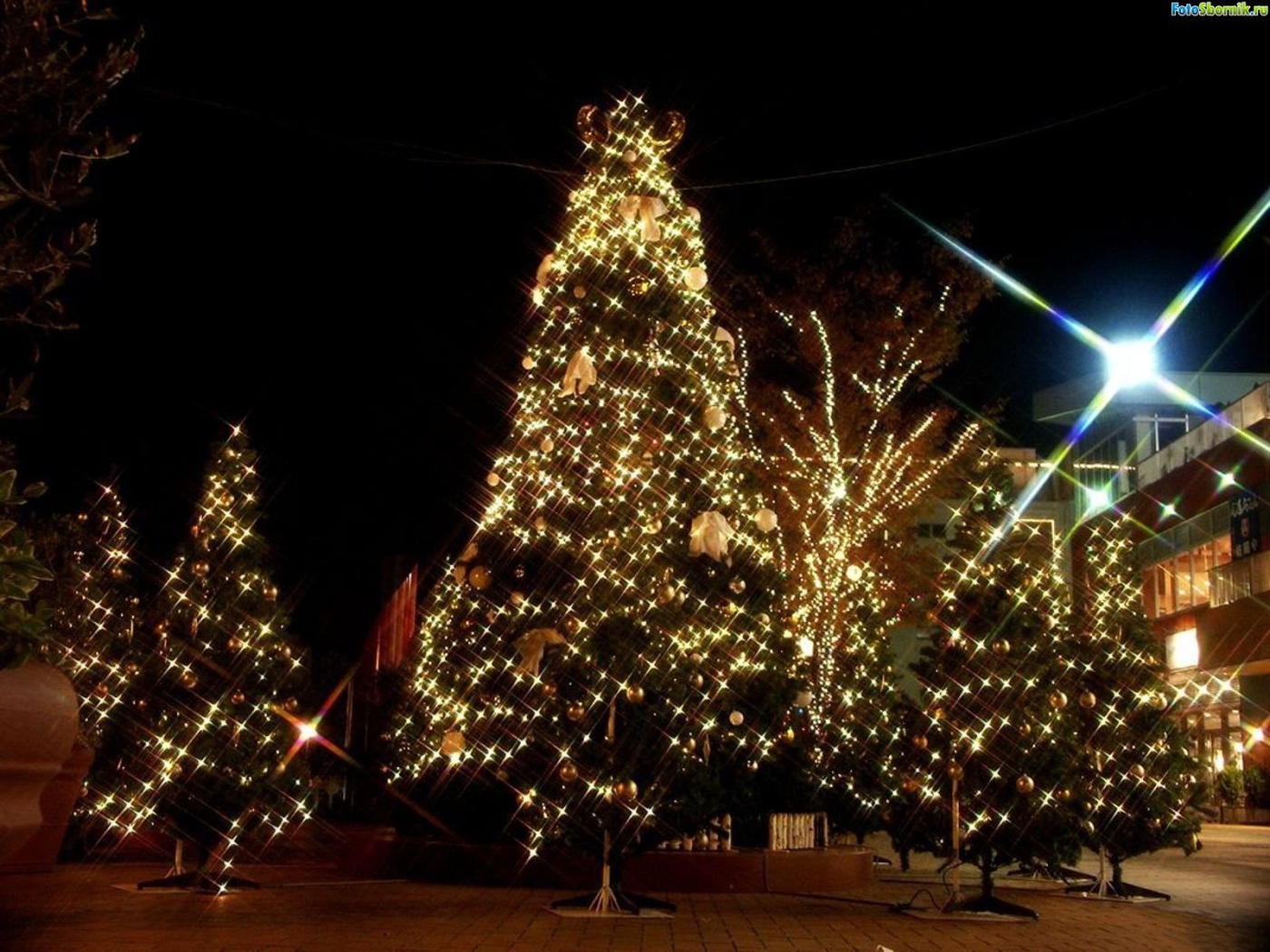 Large Christmas decorations on a Christmas tree
