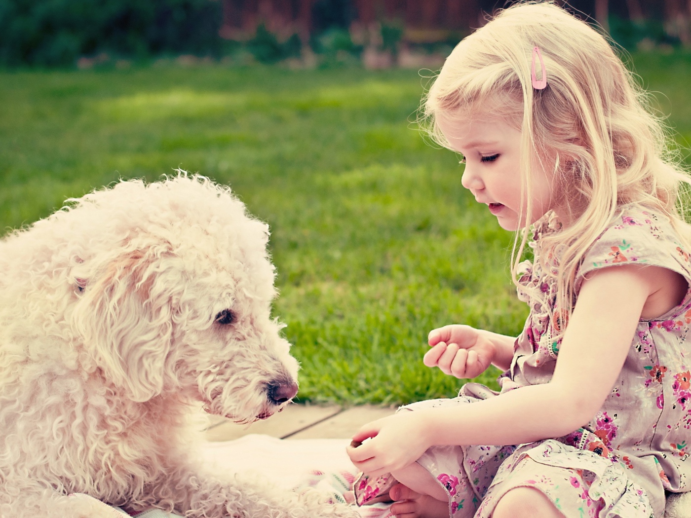 Девочка играет с собакой