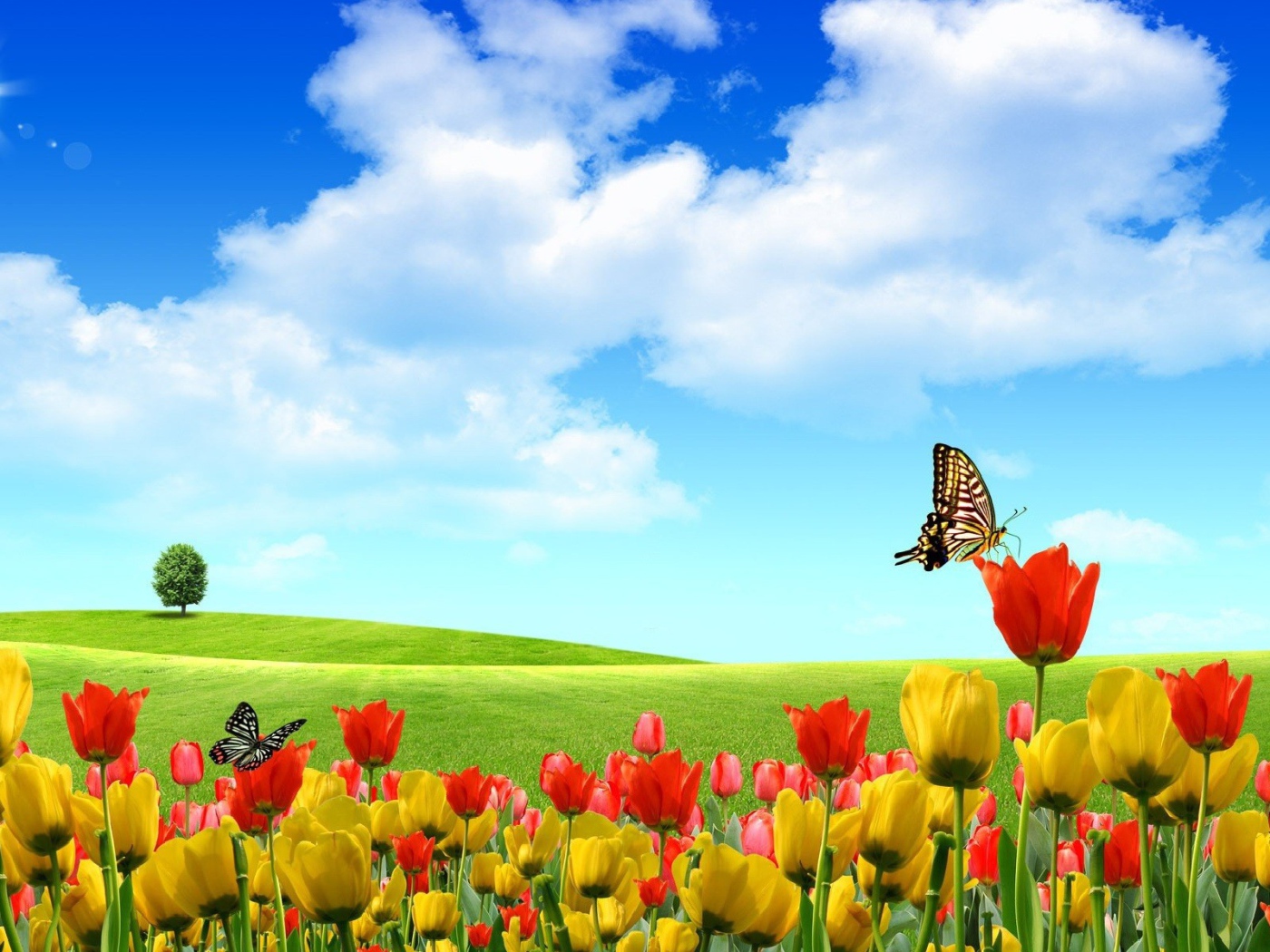 Абстрактные бабочки на тюльпанах