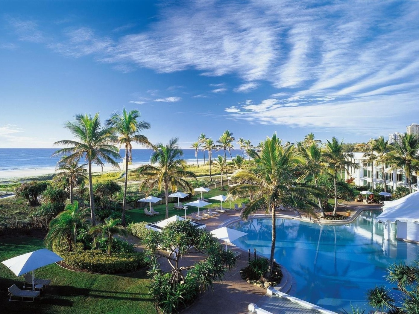 Отдых у моря под пальмами