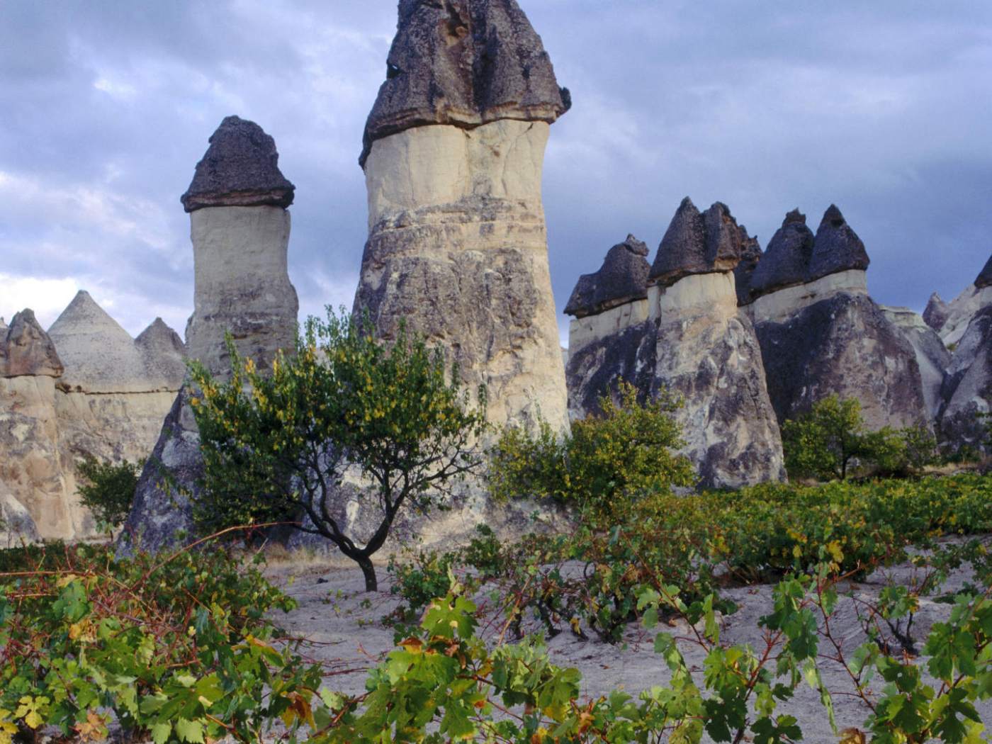 Волшебные дымоходы Турции с черными вершинами