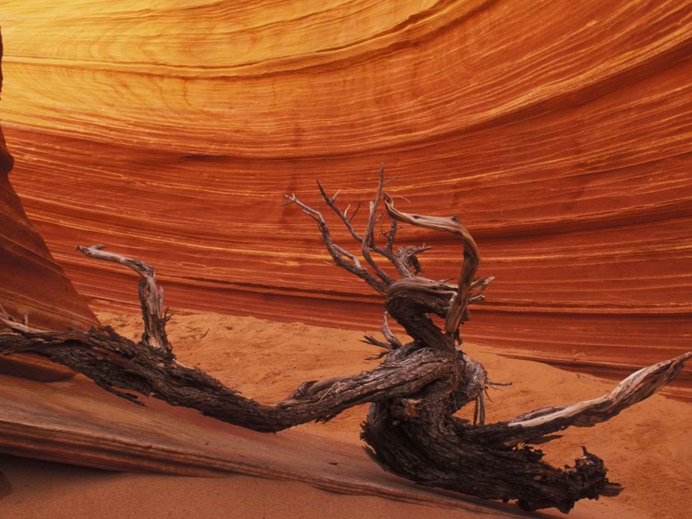 Причудливые формы каньона Антилопа