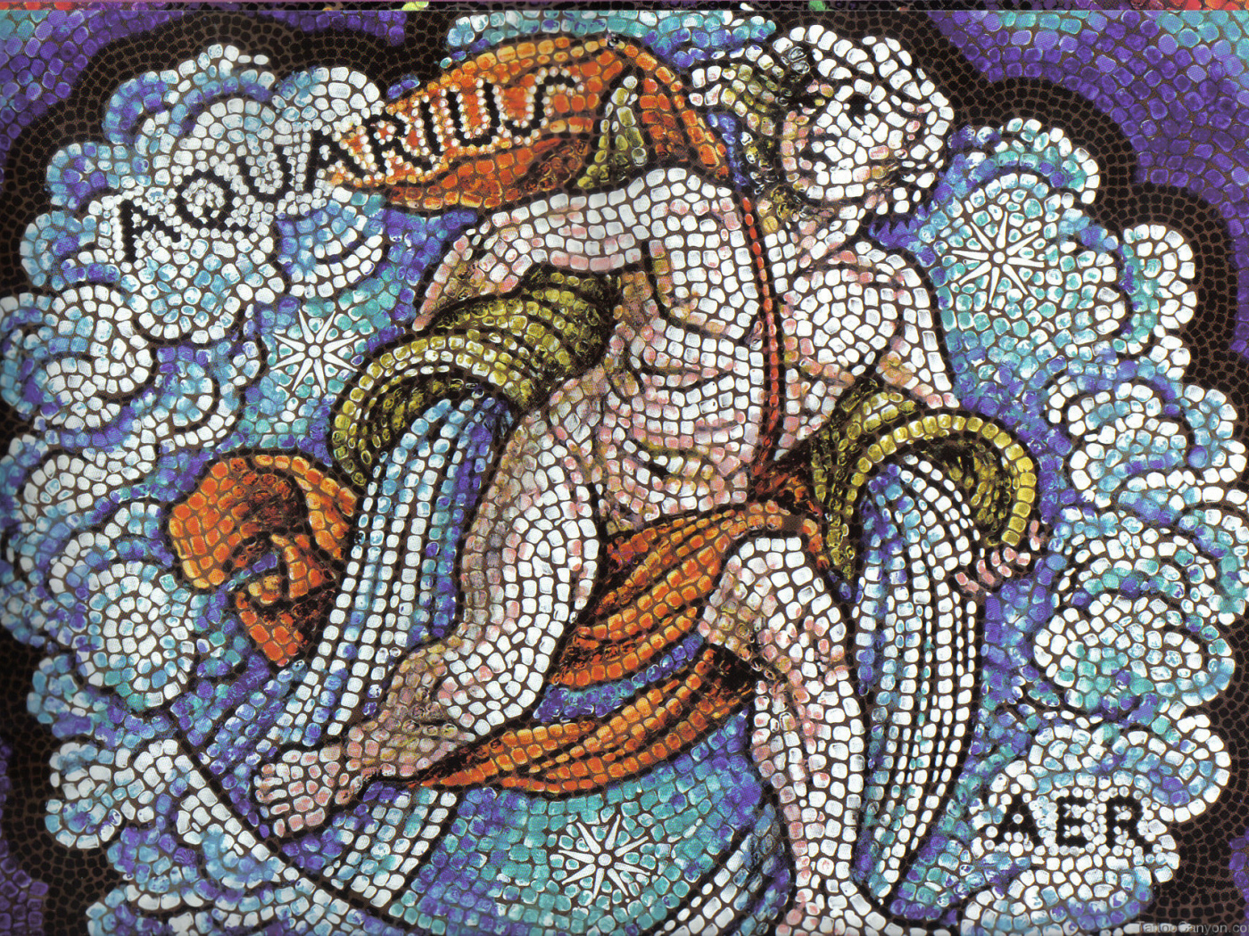 Водолей, мозаика