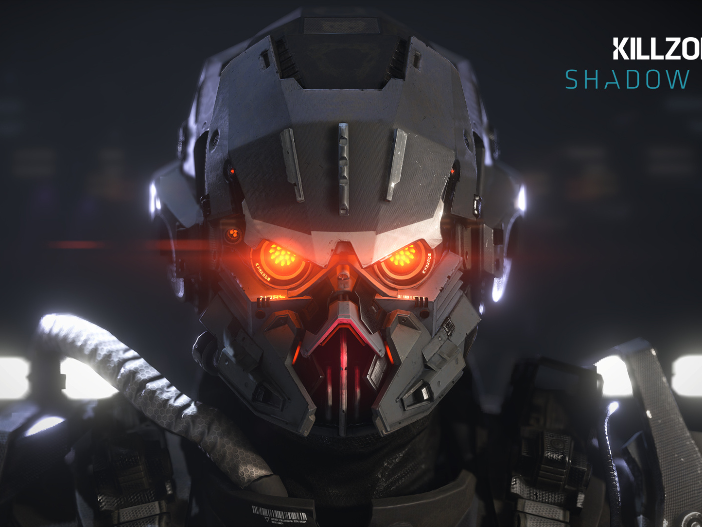 Killzone: Shadow Fall: сумасшедший взгляд