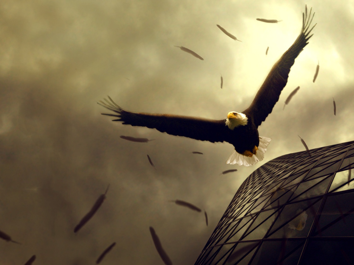 Орел теряет перья