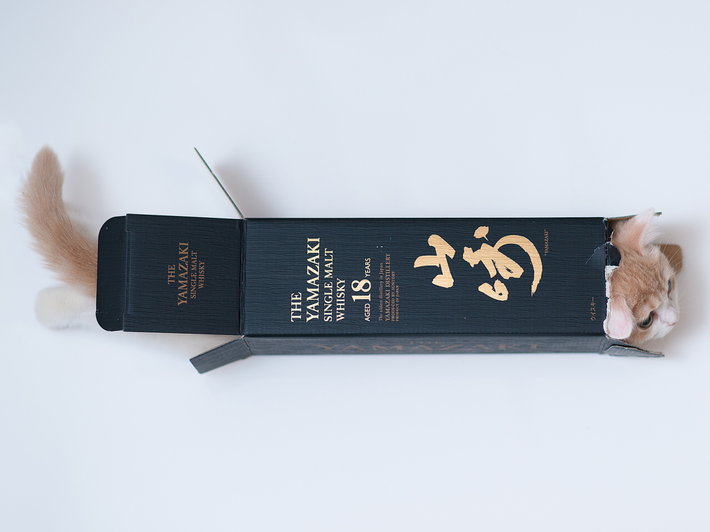 Котенок залез в коробку