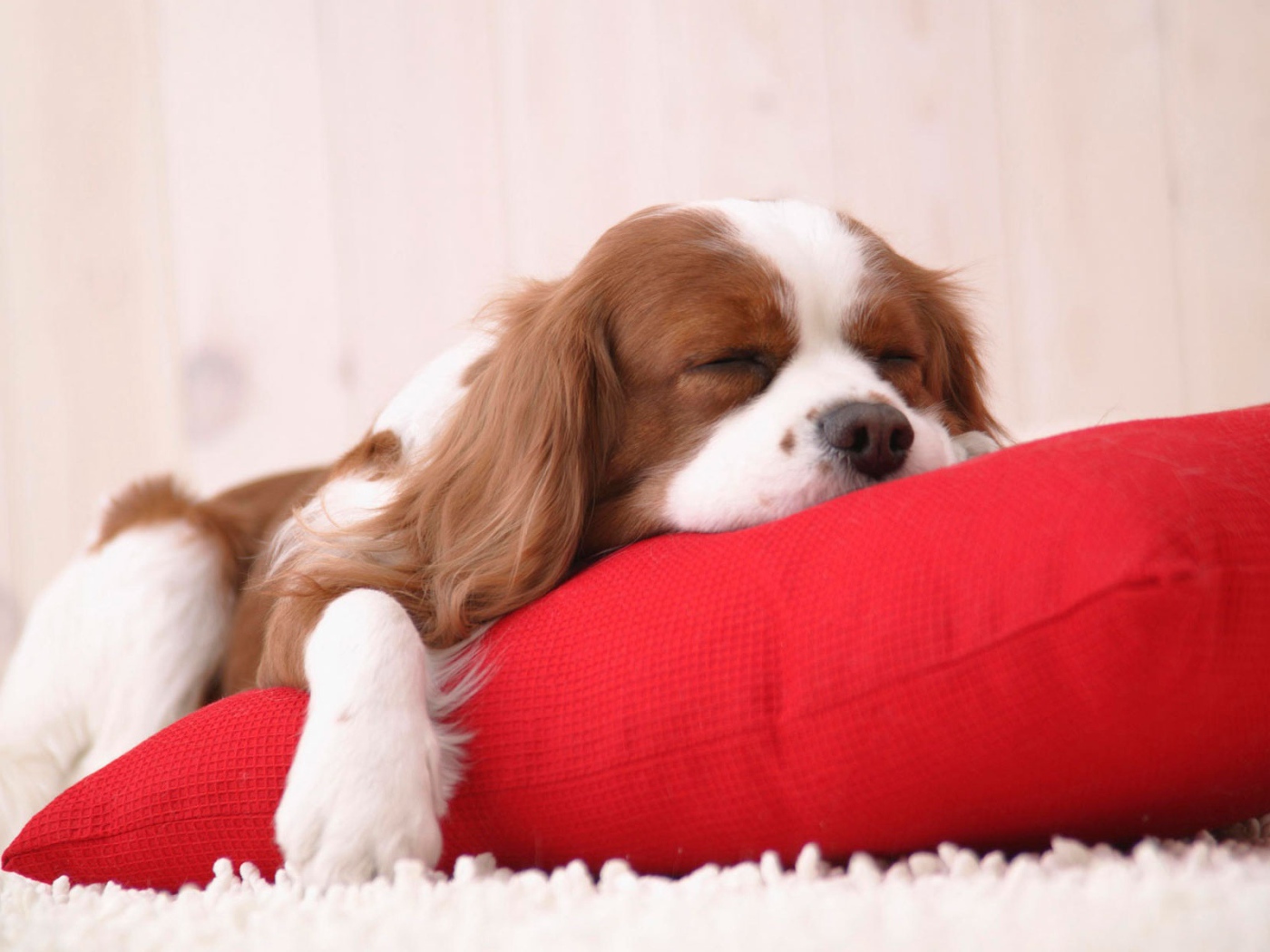 Время вздремнуть