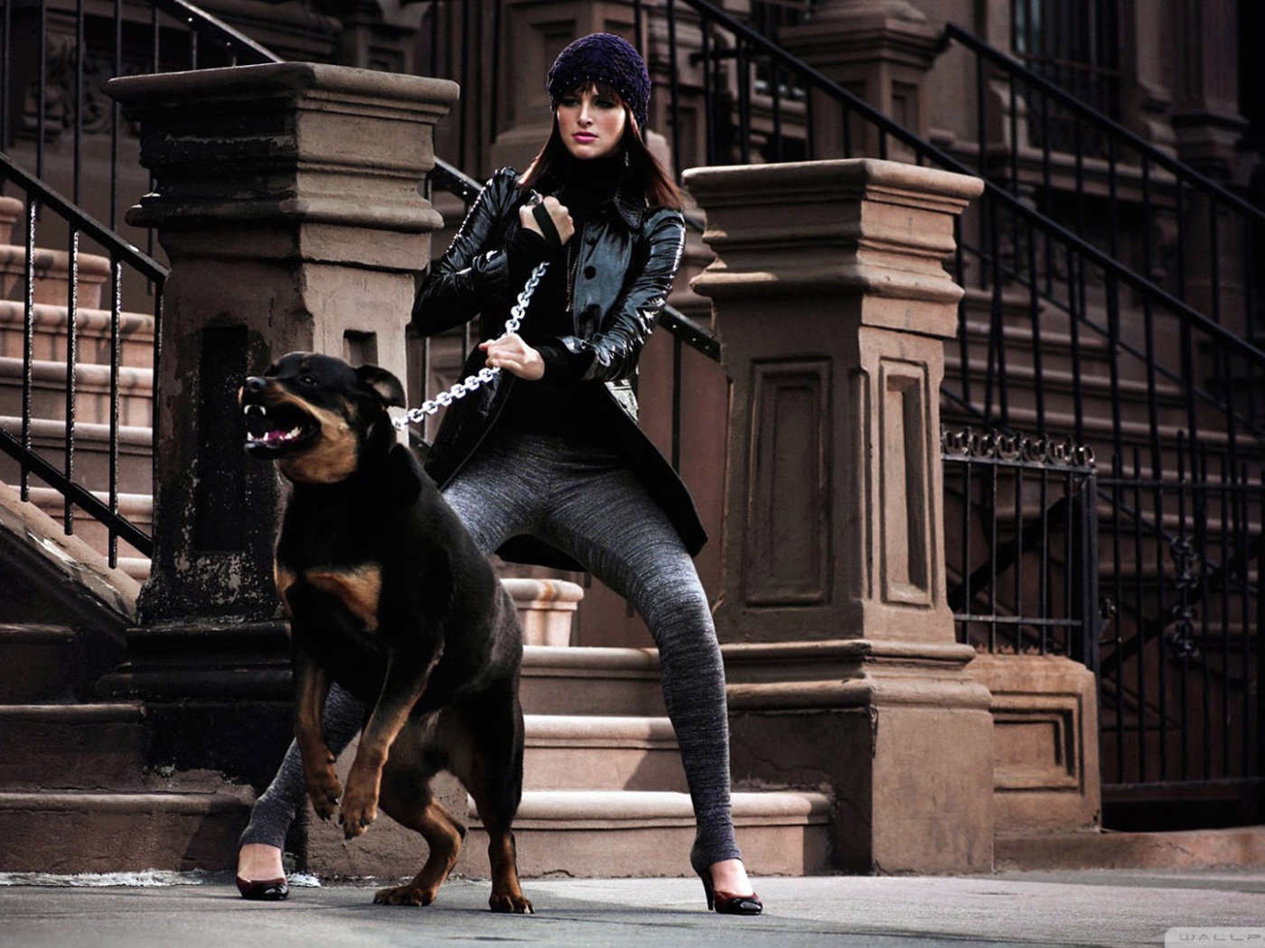 Девушка держит ротвейлера