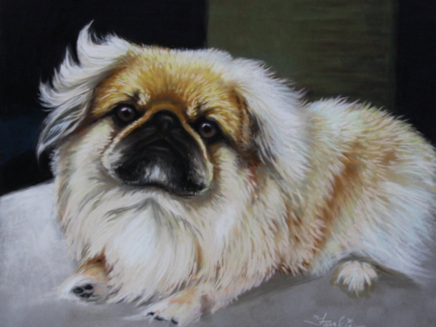 Пекинес на картине