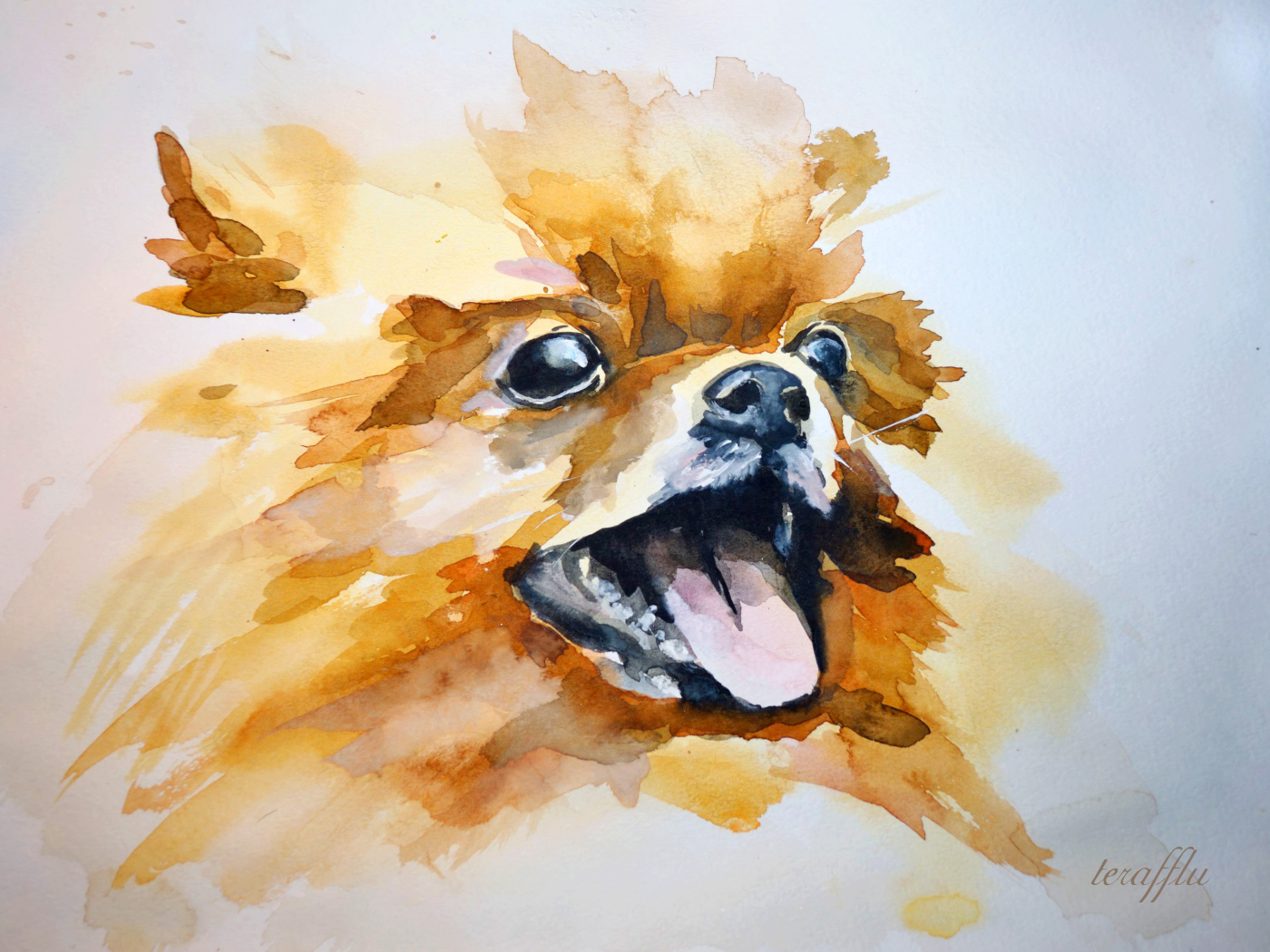 На рисунке шпиц