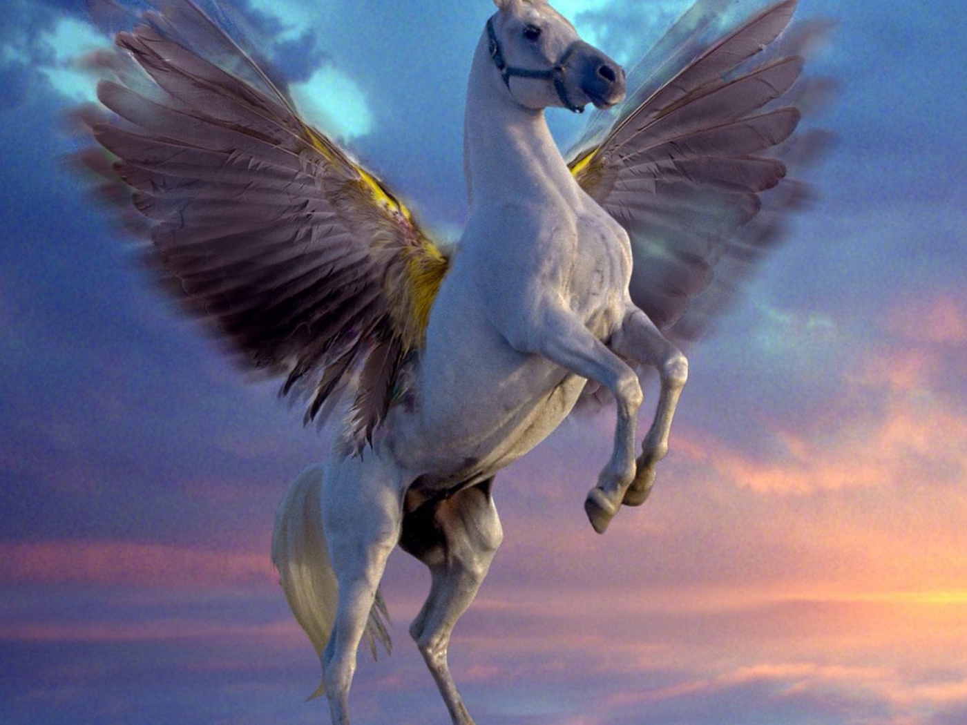 Белый Пегас