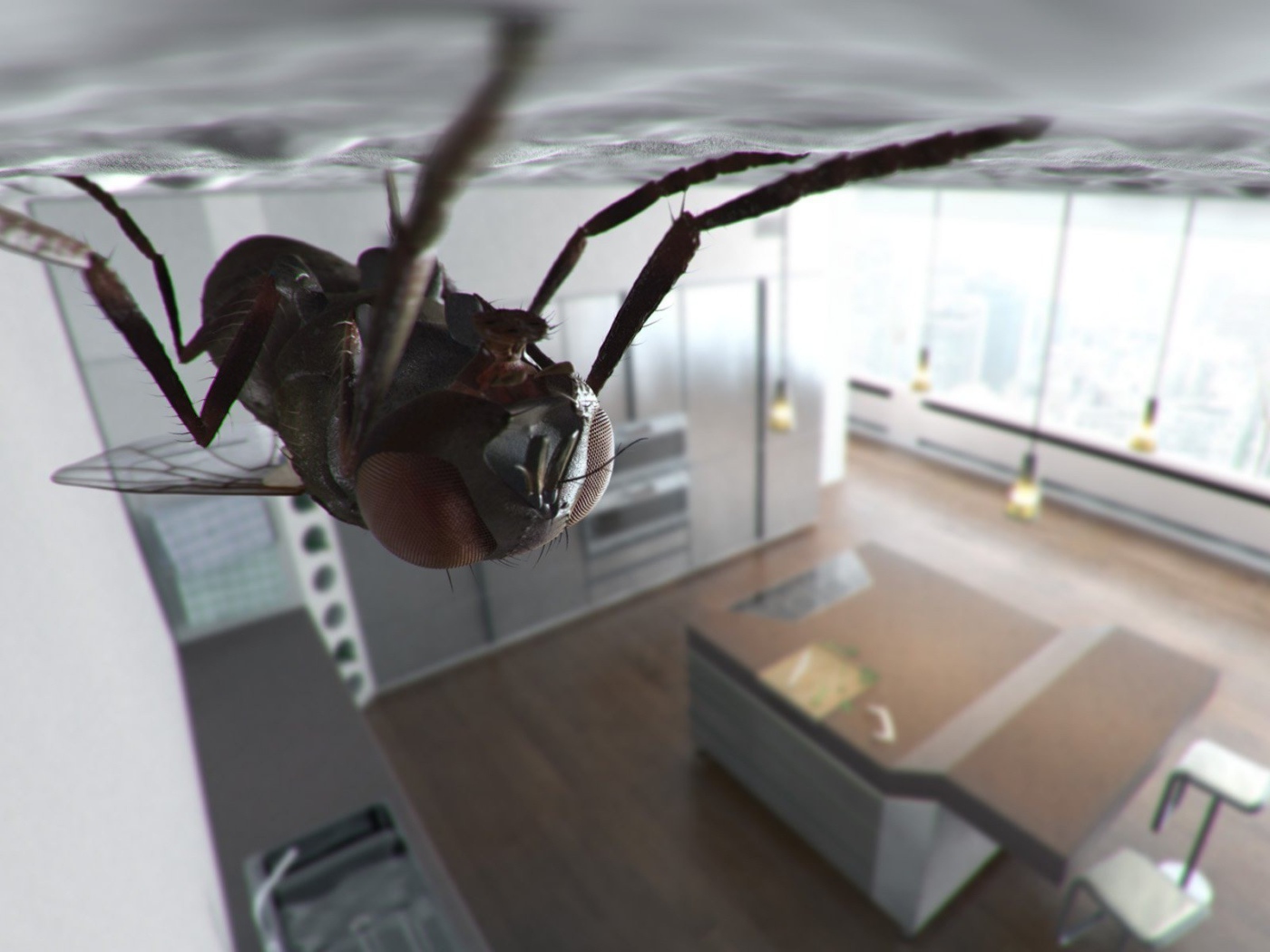 Муха сидит на потолке