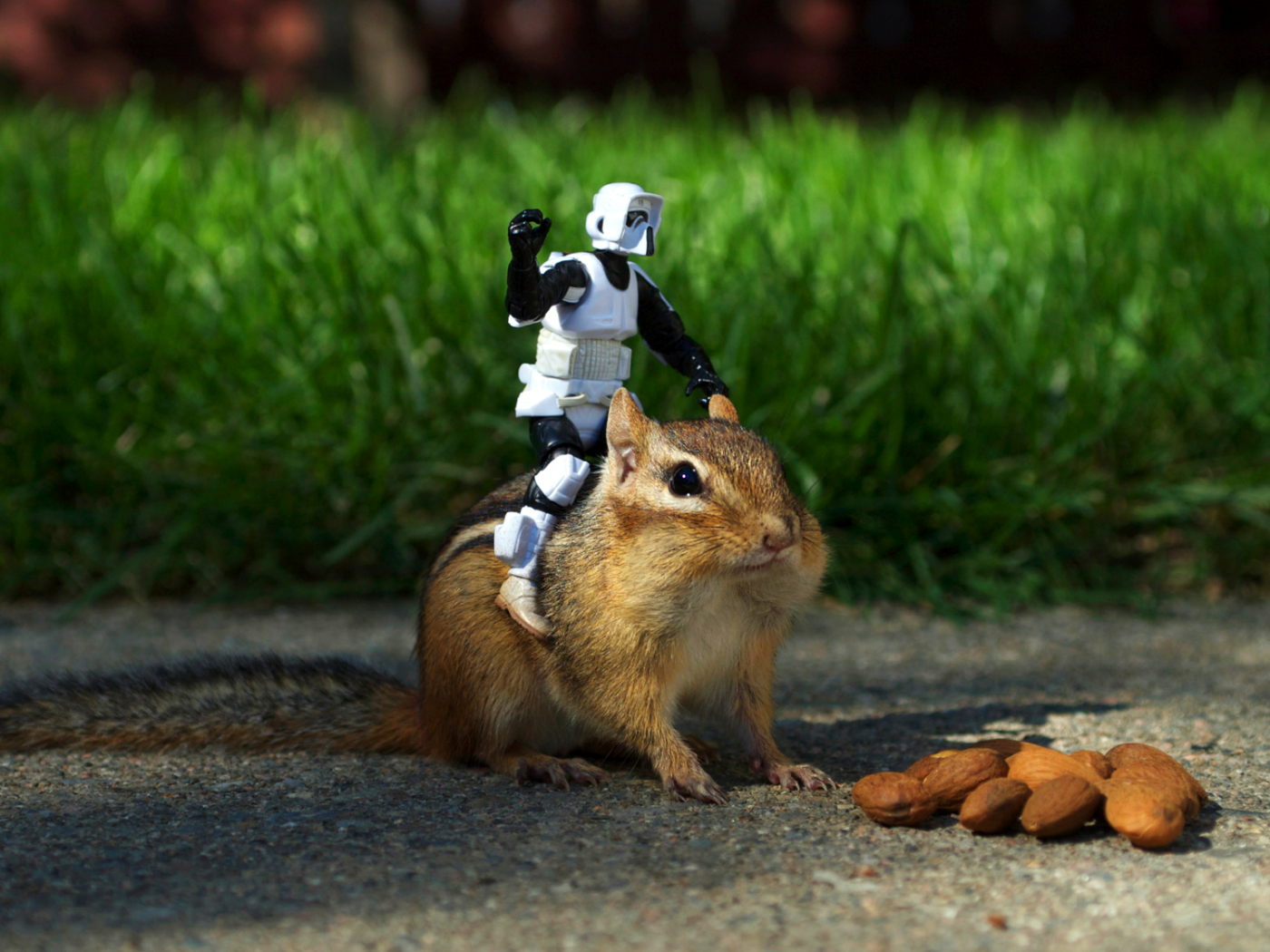 Робот верхом на бурундуке