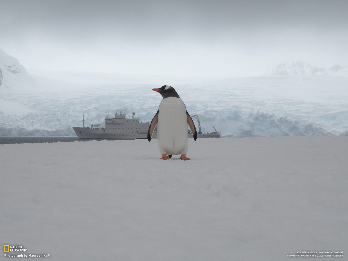 Единственный пассажир с корабля