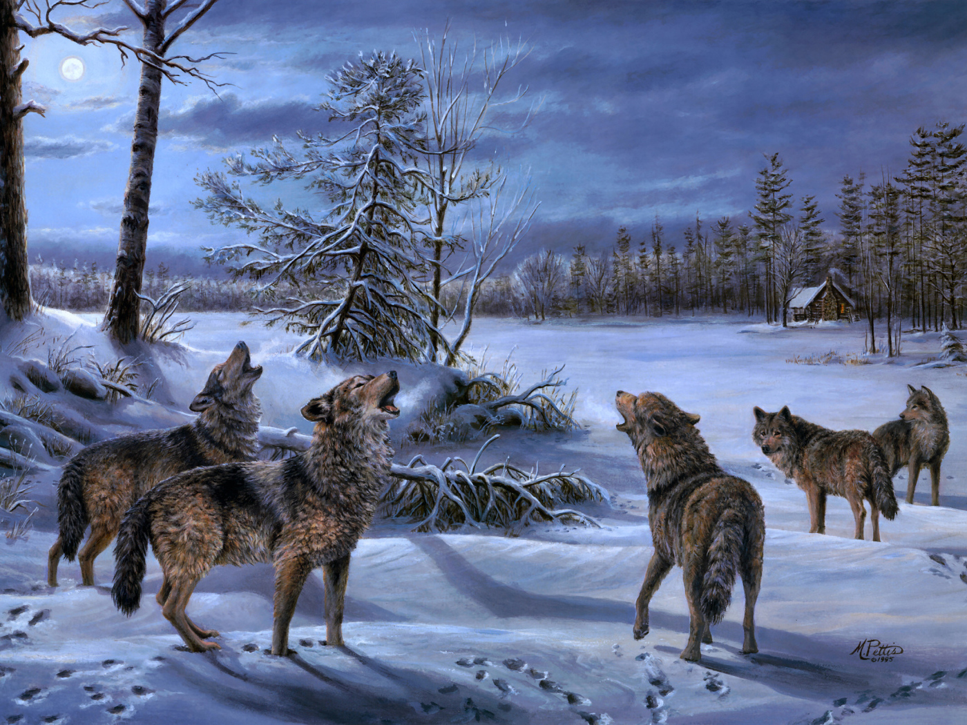 A pack of wolves moonlit night