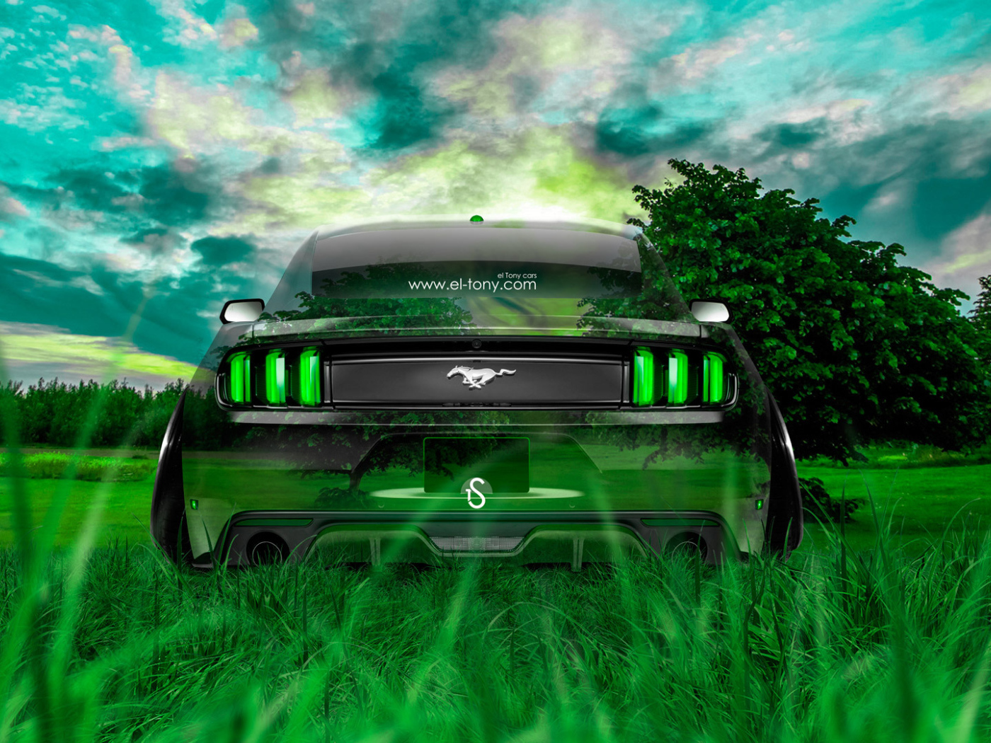 Мустанг единение с природой