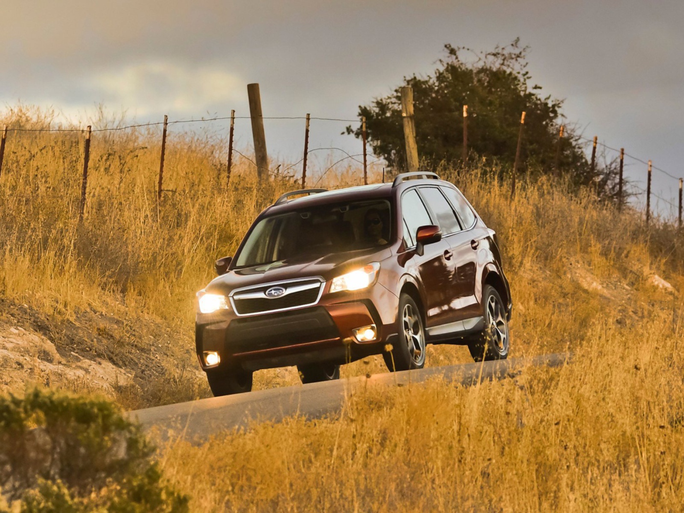 Новая машина Subaru Forester 2013