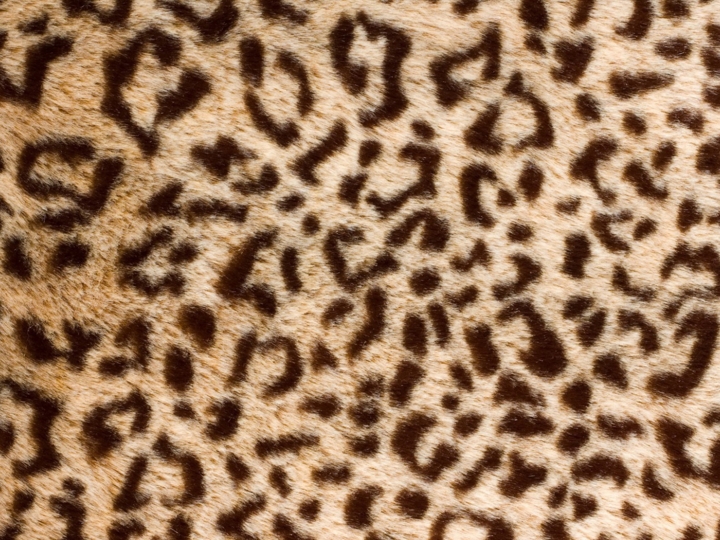 Банальный леопард