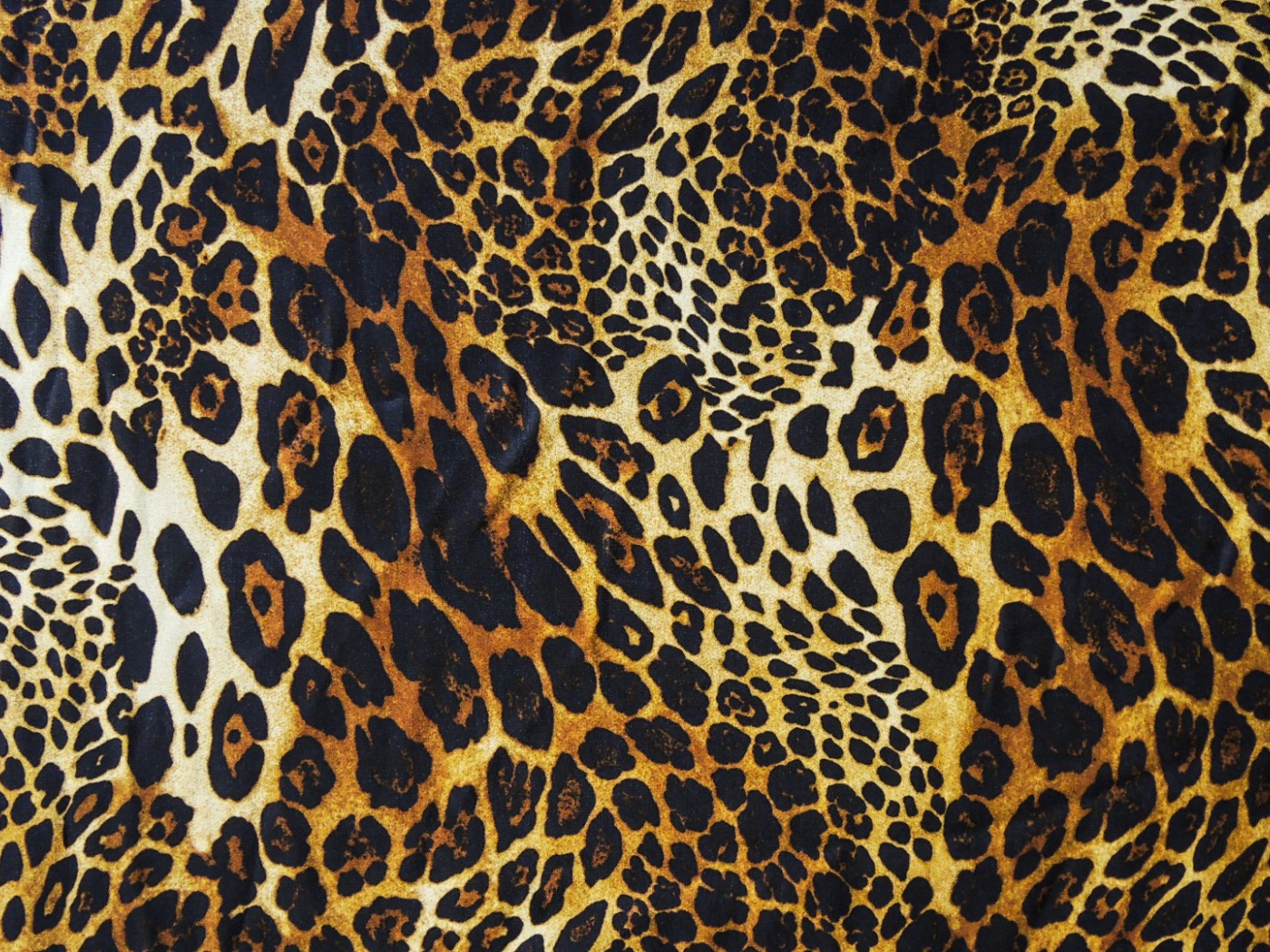 Яяркий леопард