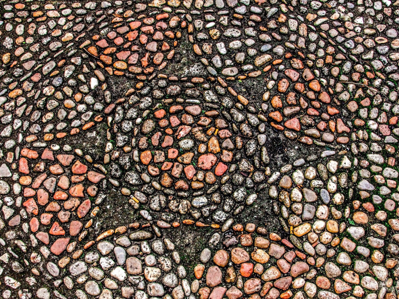 Узоры морского камня