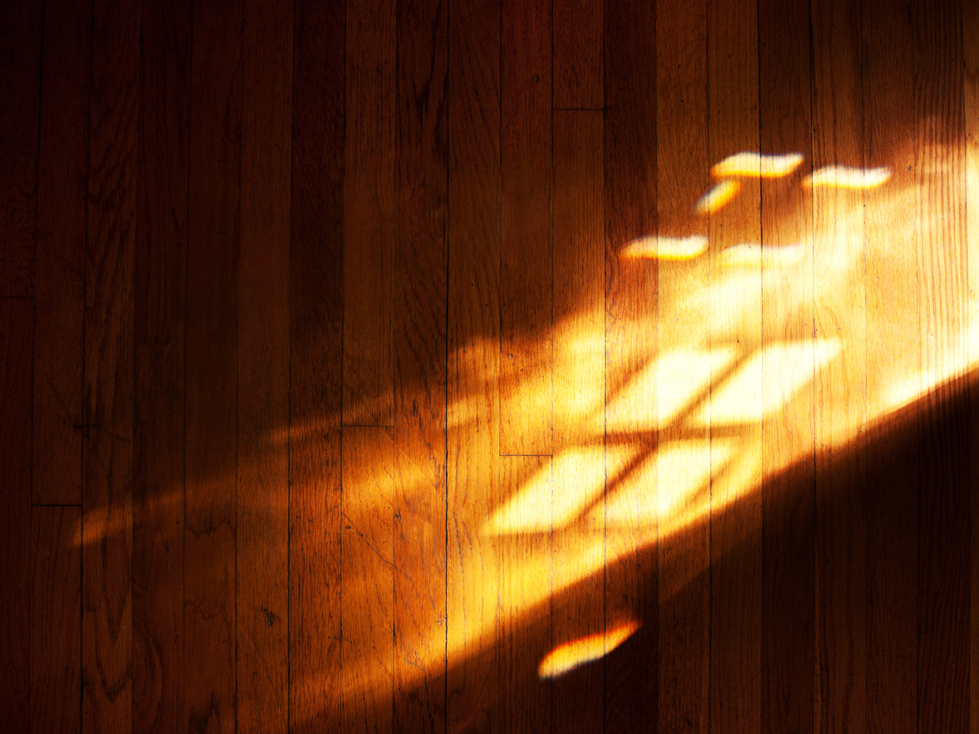 Игра света с символом Windows