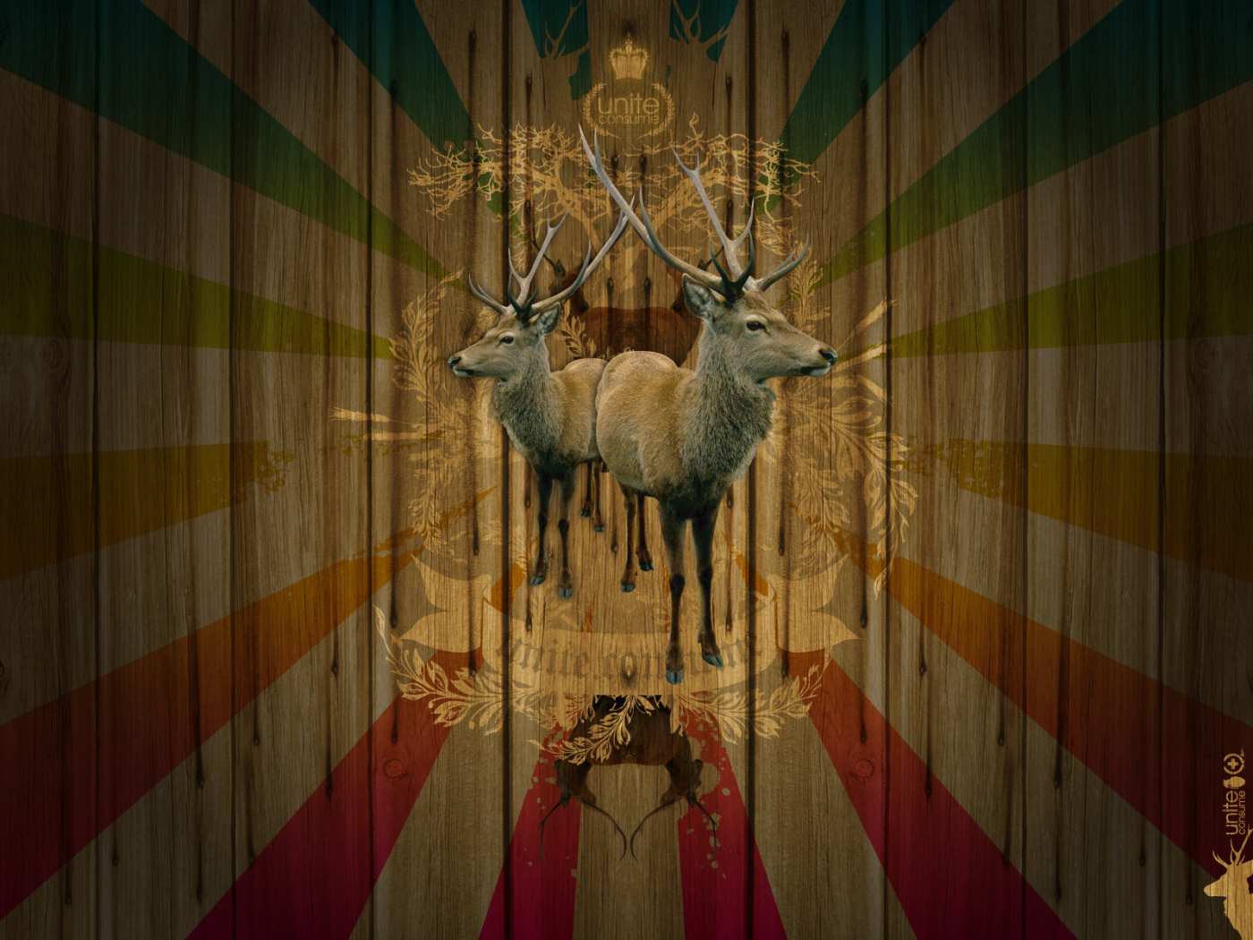 Объединение потребителей