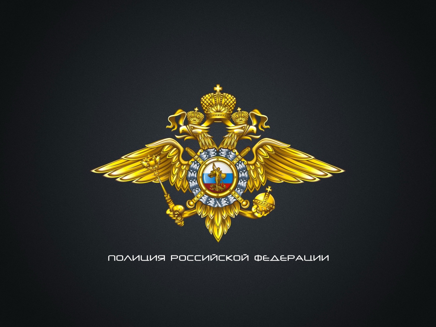 Полиция России