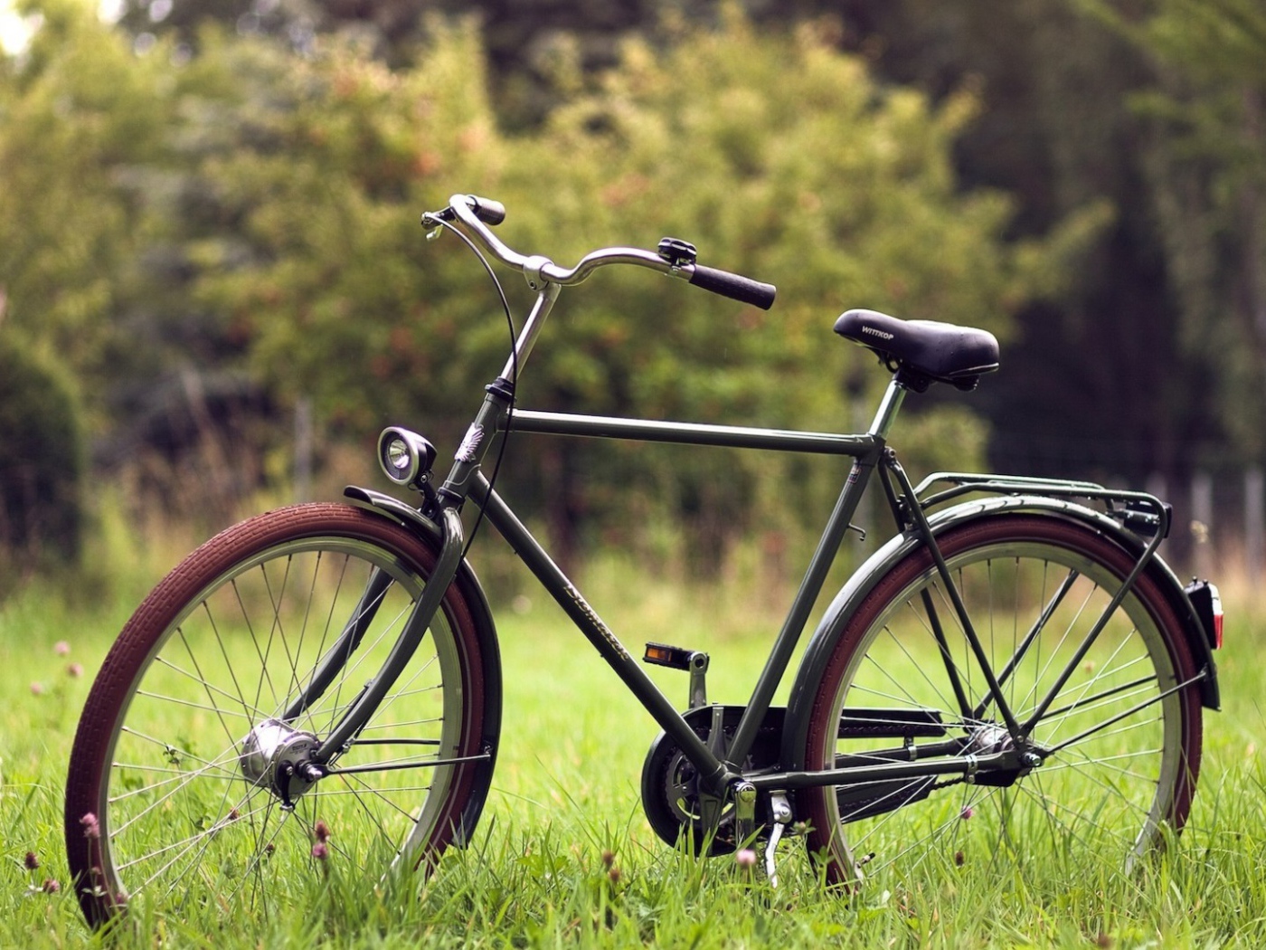 Велосипед на траве