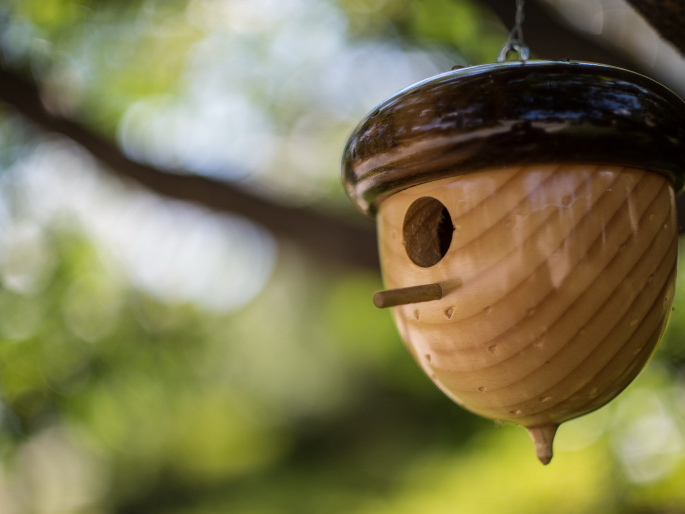 Домик в форме желудя