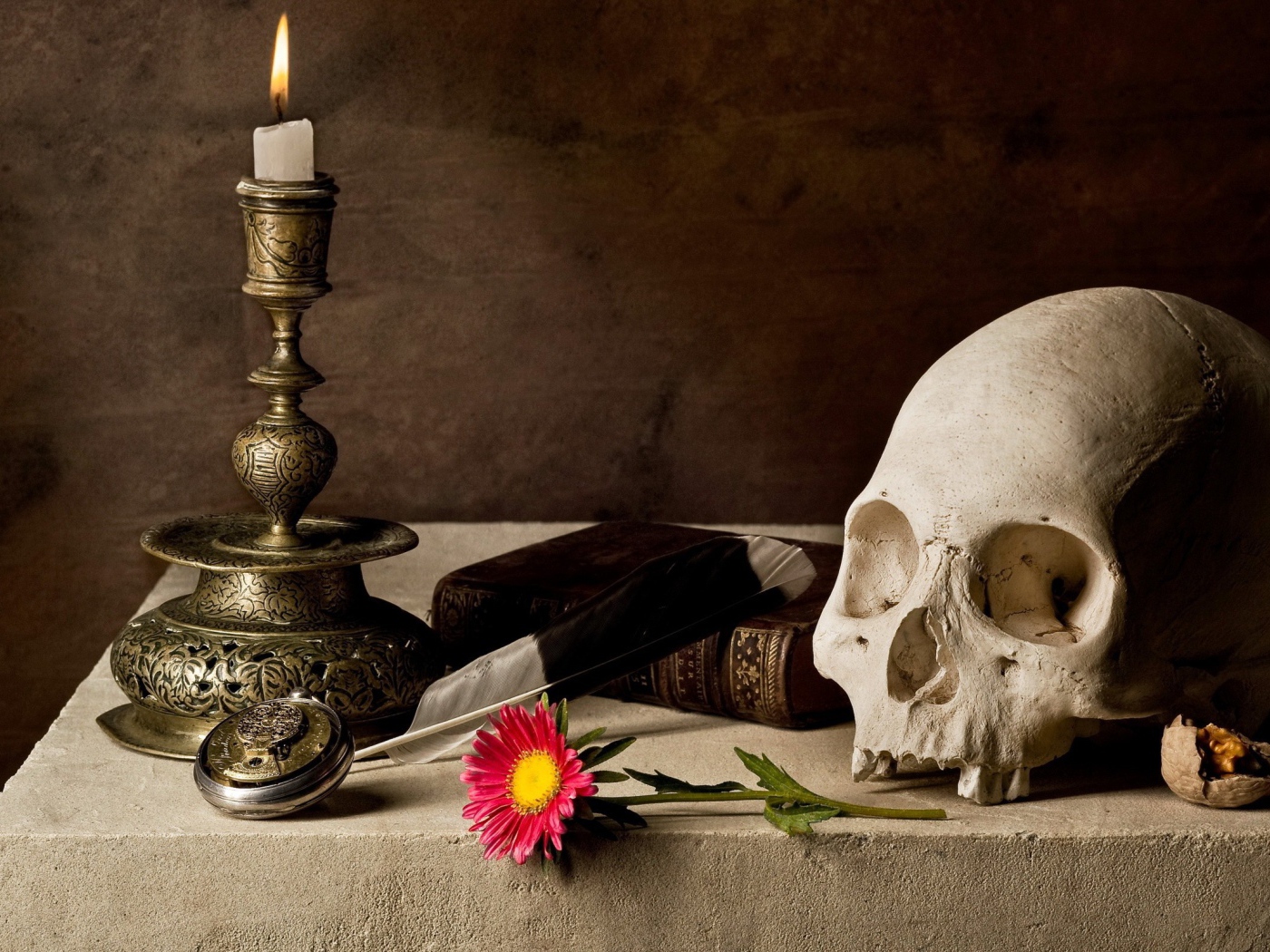 Композиция с черепом