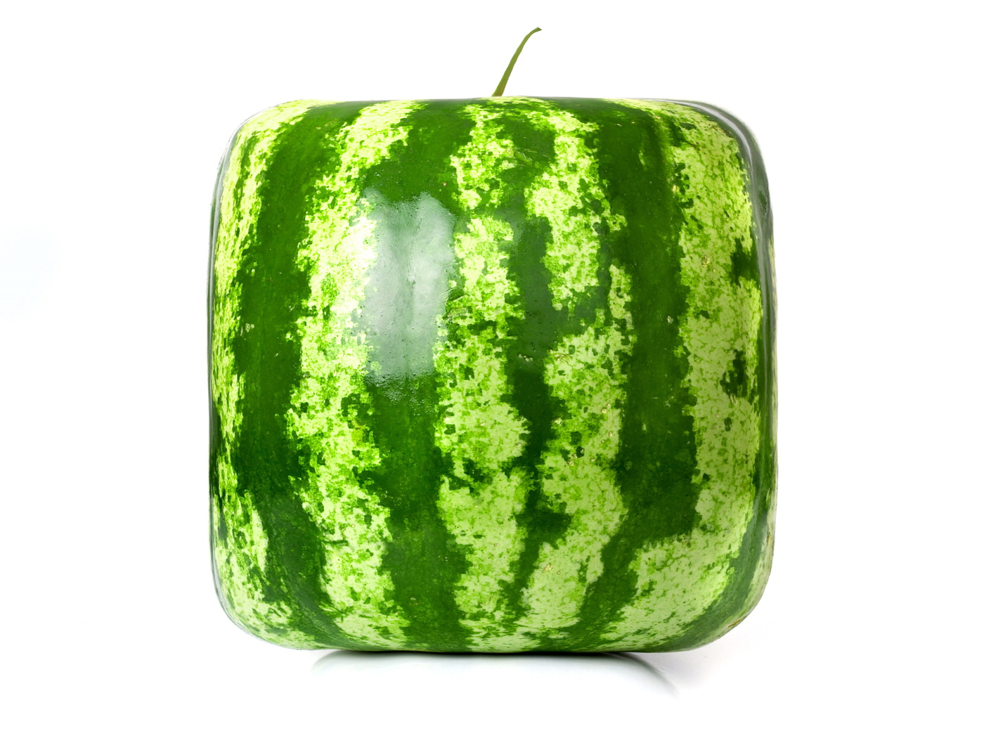 Просто квадратный арбуз