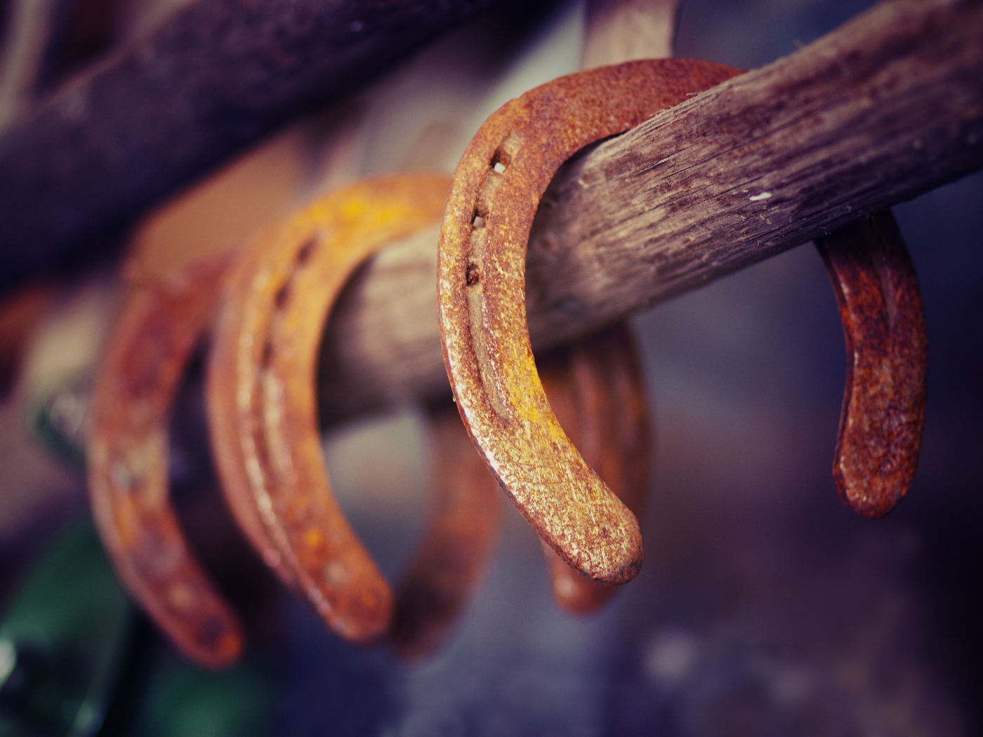 Ржавые подковы