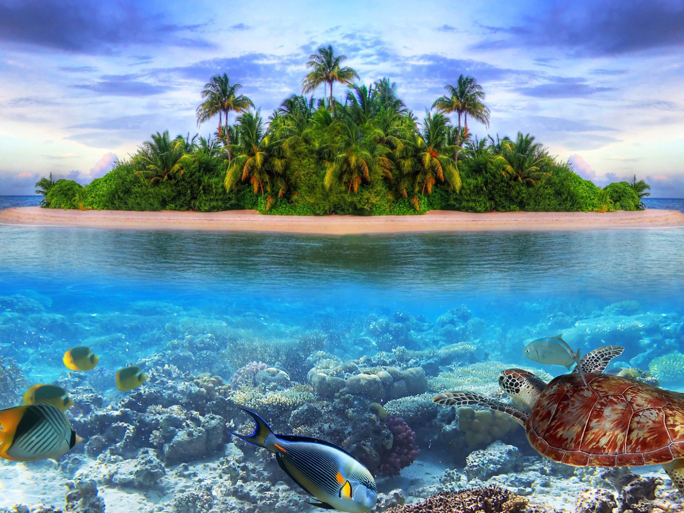 Подводный мир на острове