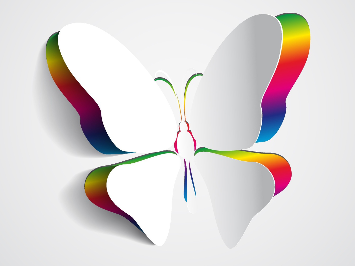 Крылья белой бабочки