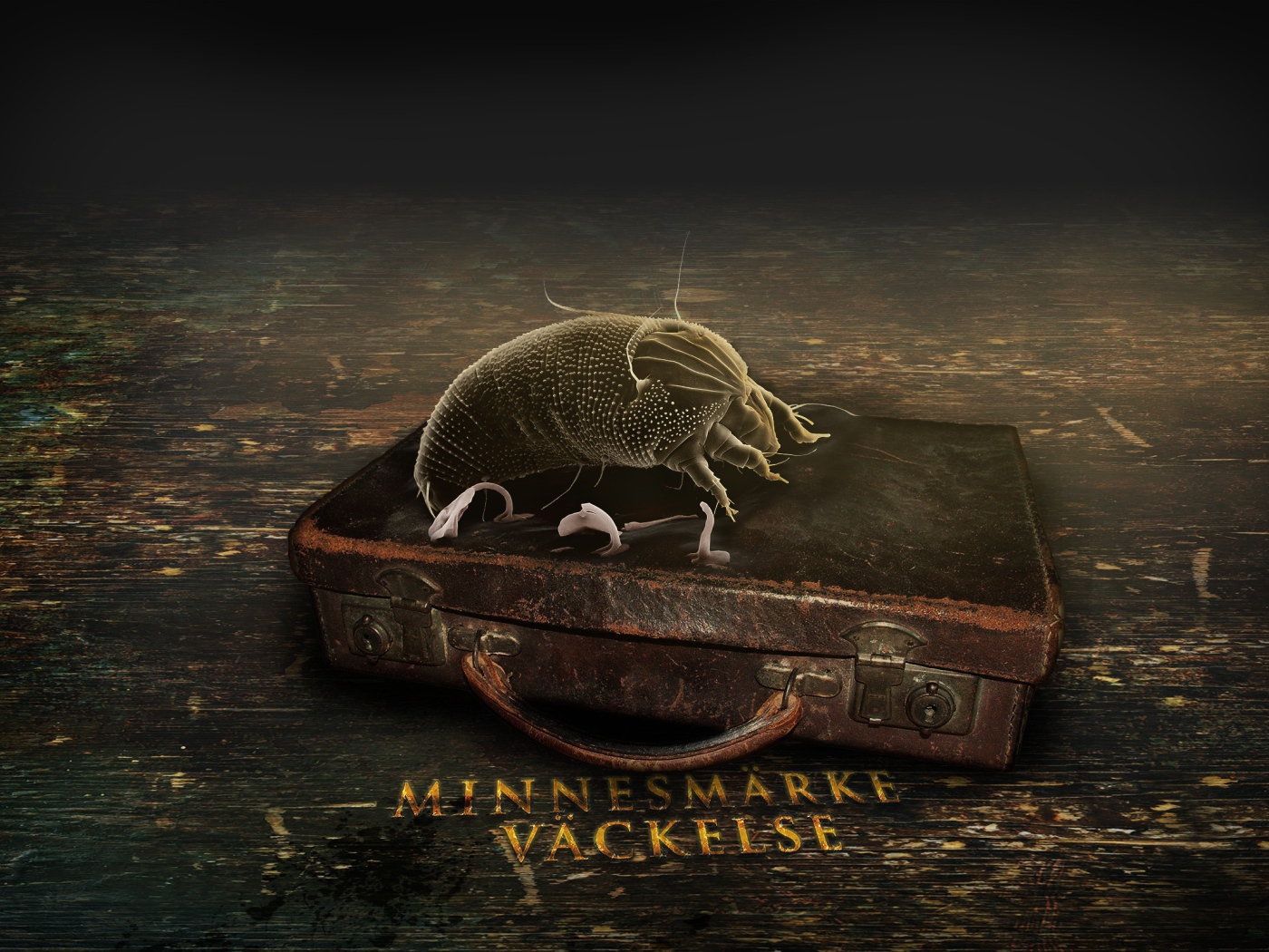 Старый чемодан