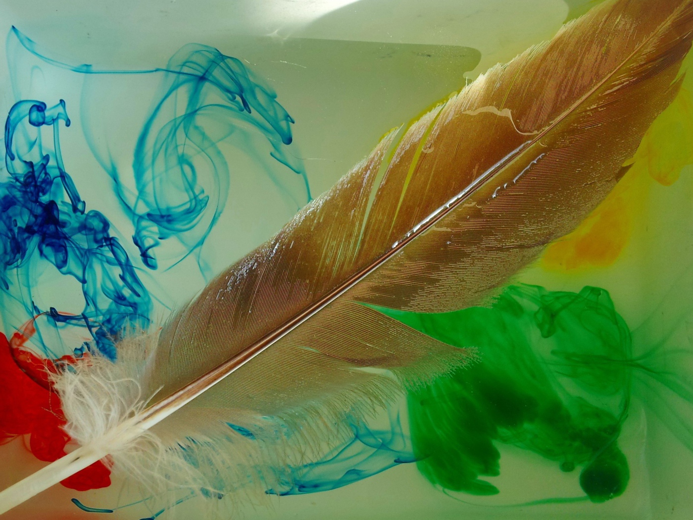 Перо и разлитые краски