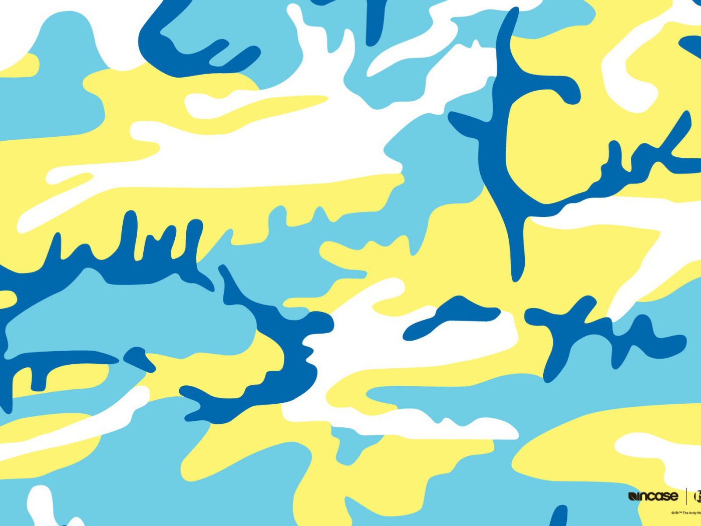 Картина Энди Уорхола камуфляж