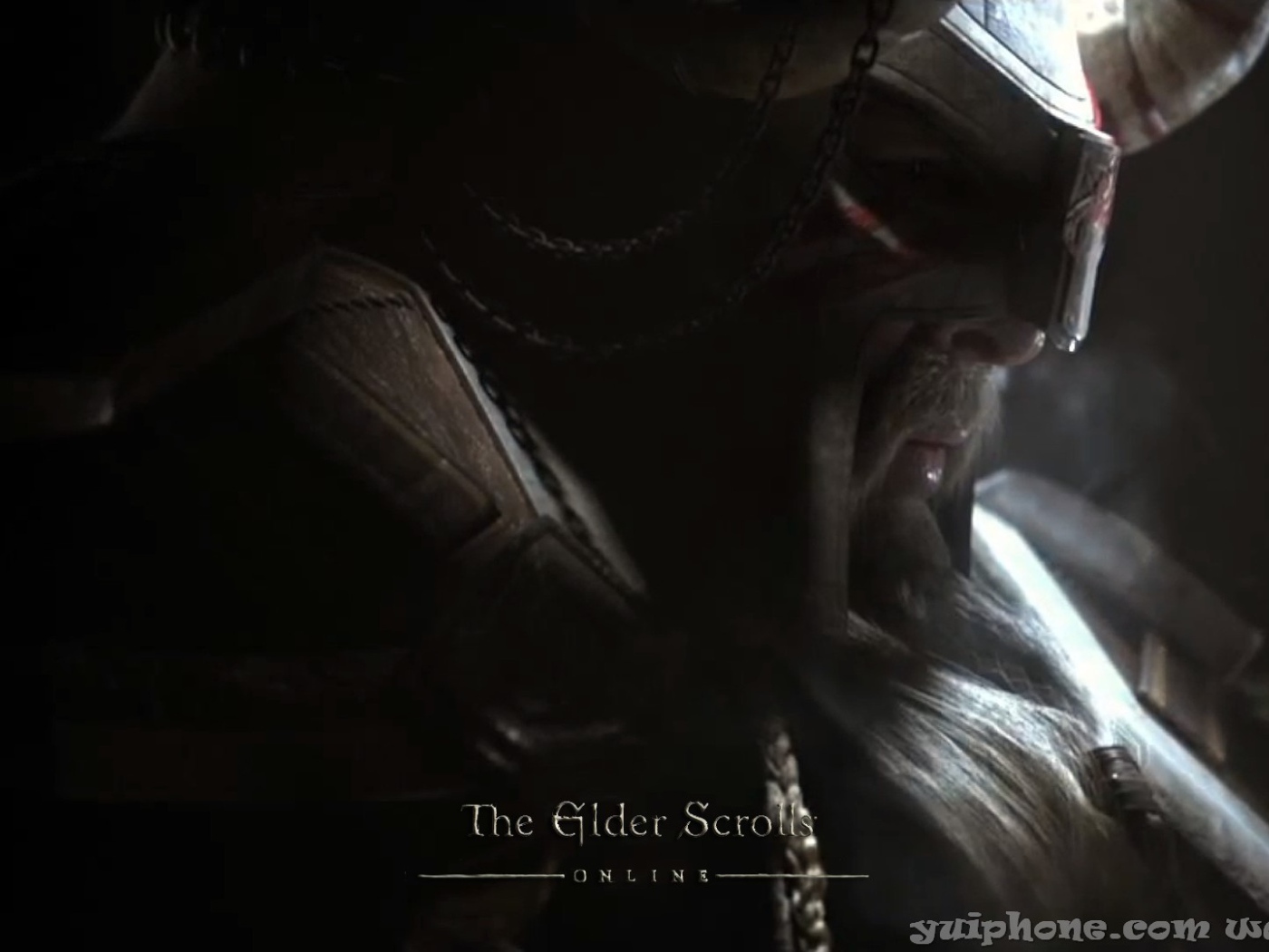 Закаленный в боях викинг