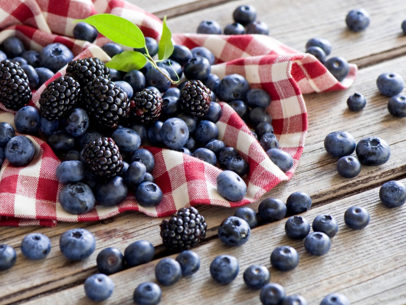 Черника и ежевика