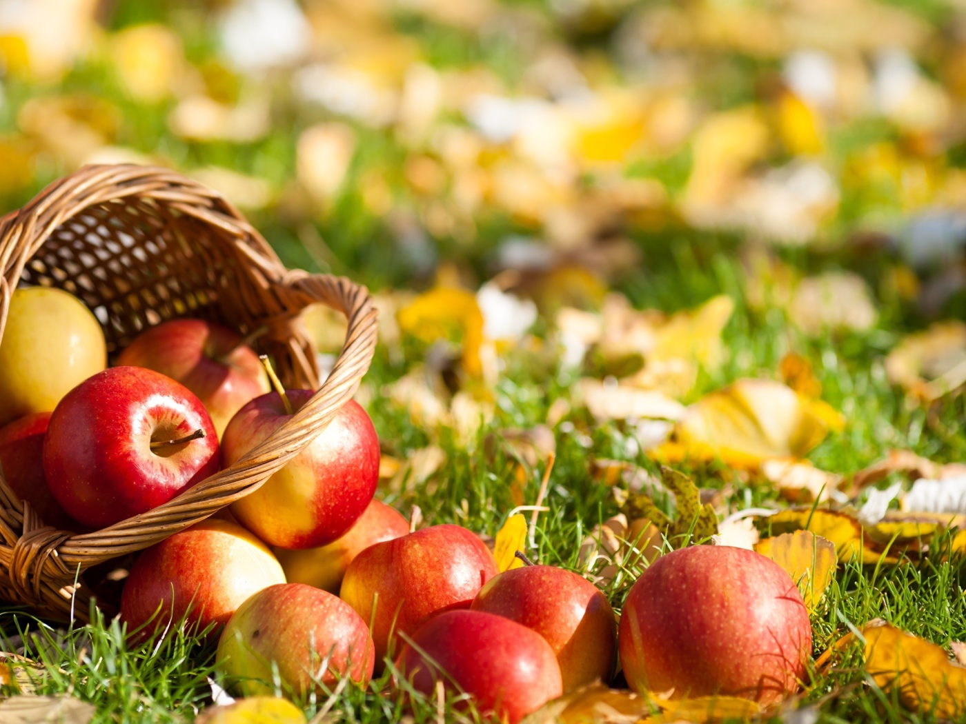Корзина с яблоками
