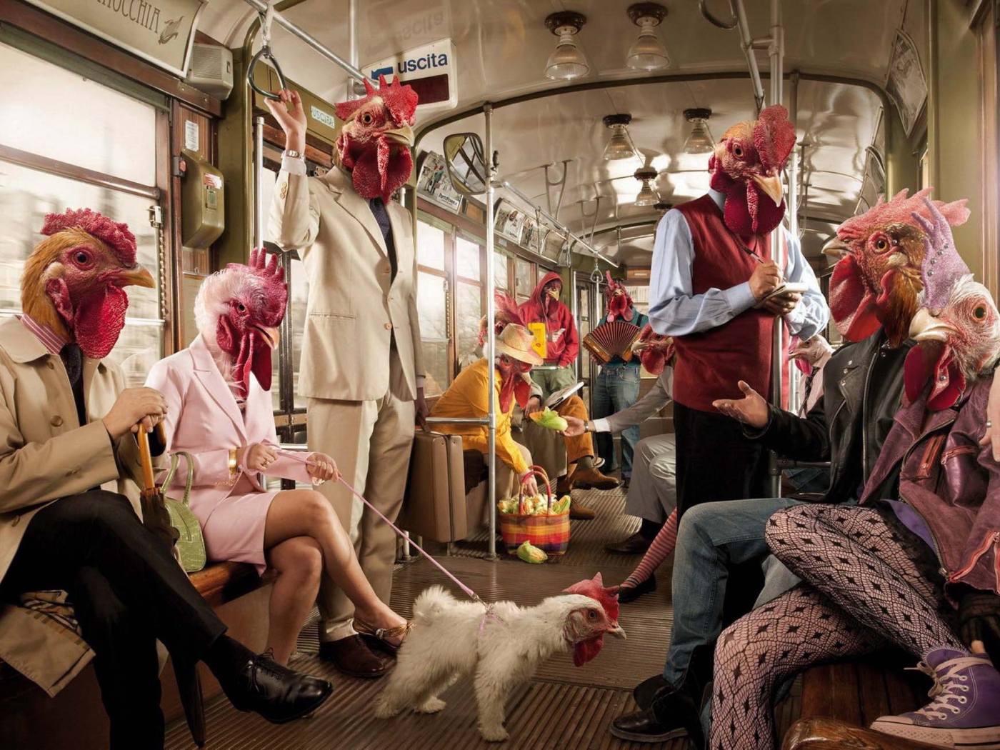 Поездка в курятнике