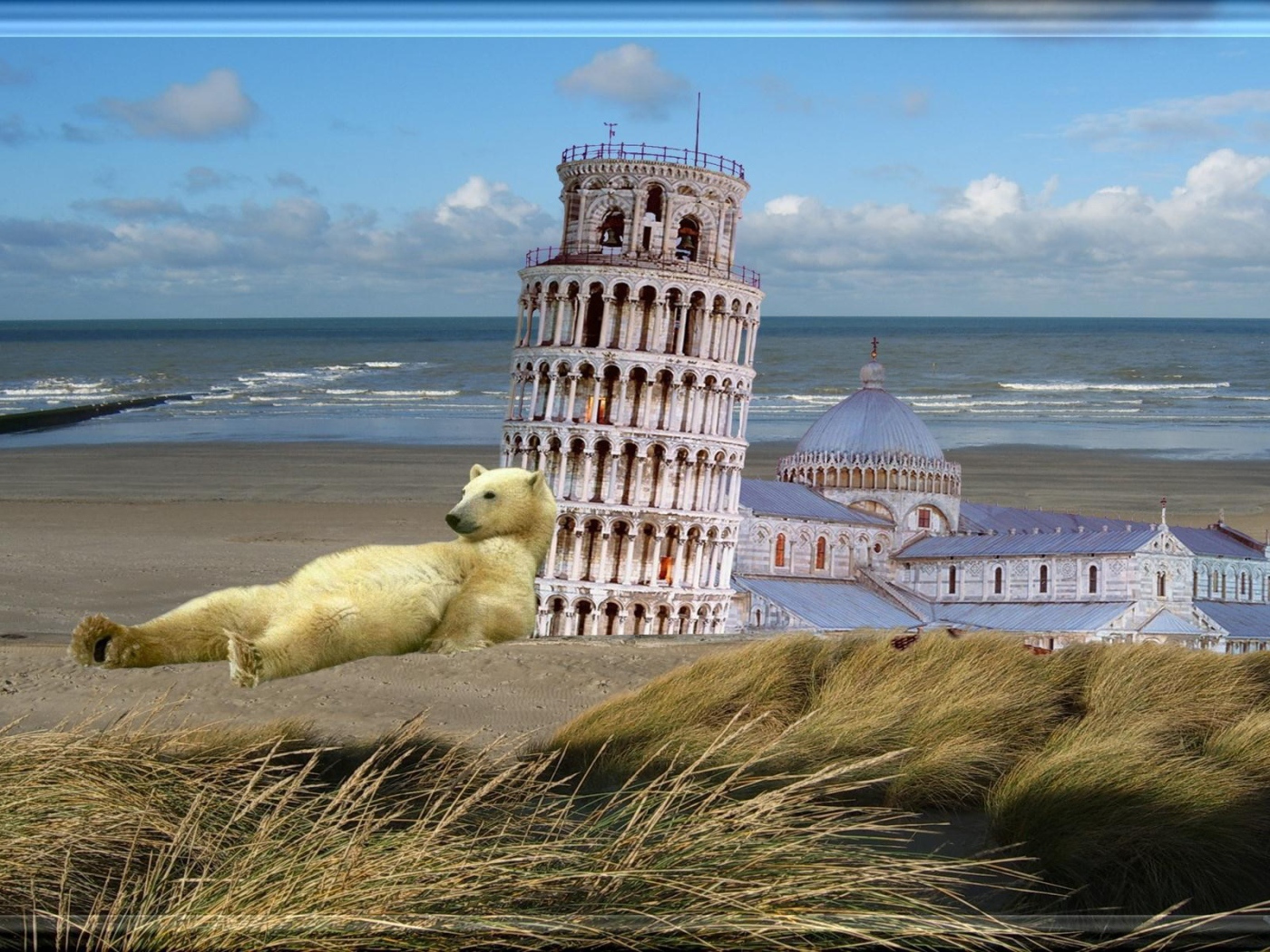 Белый медведь у Пизанской башни