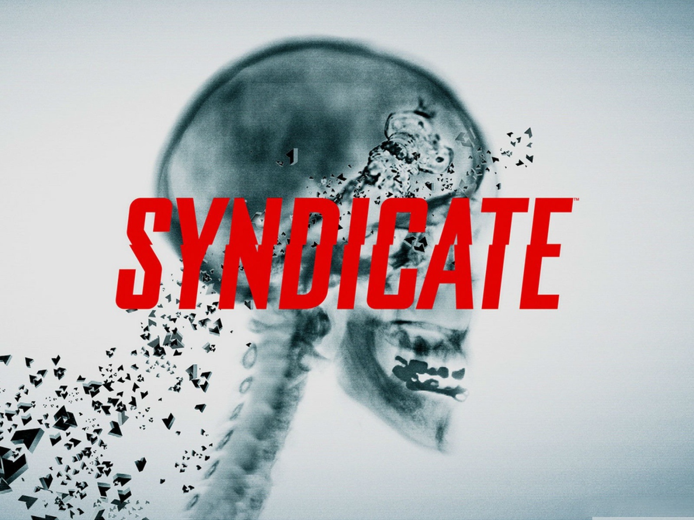 Видео игра Синдикат