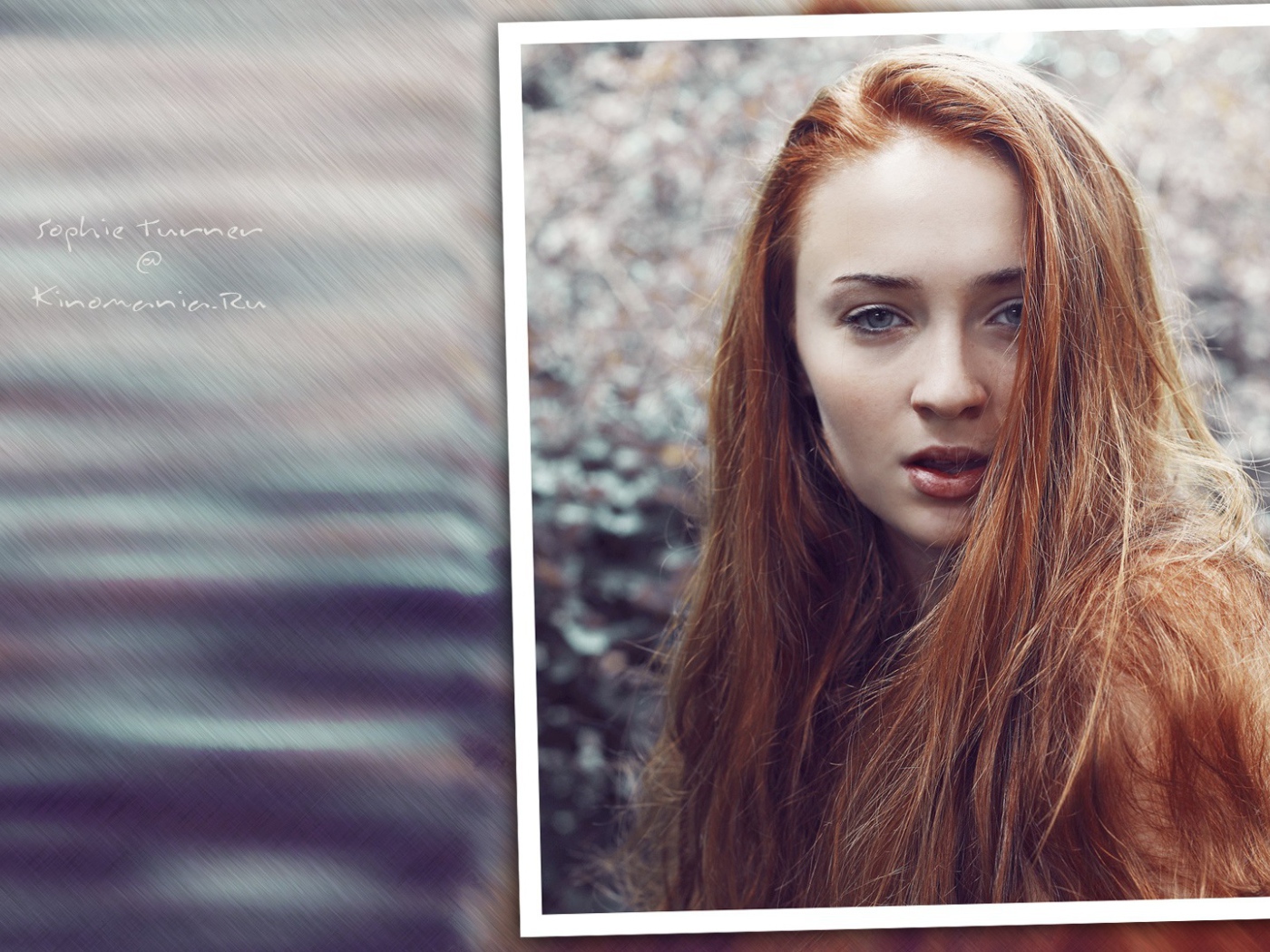 Популярная супермодель Софи Тернер