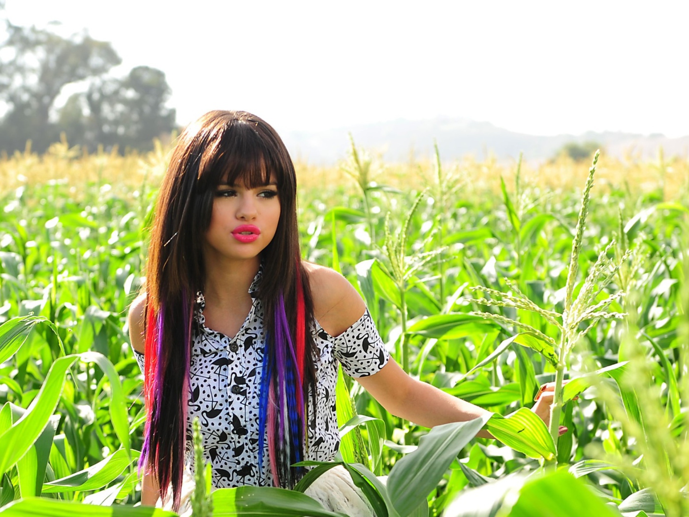 Селена Гомез в кукурузе