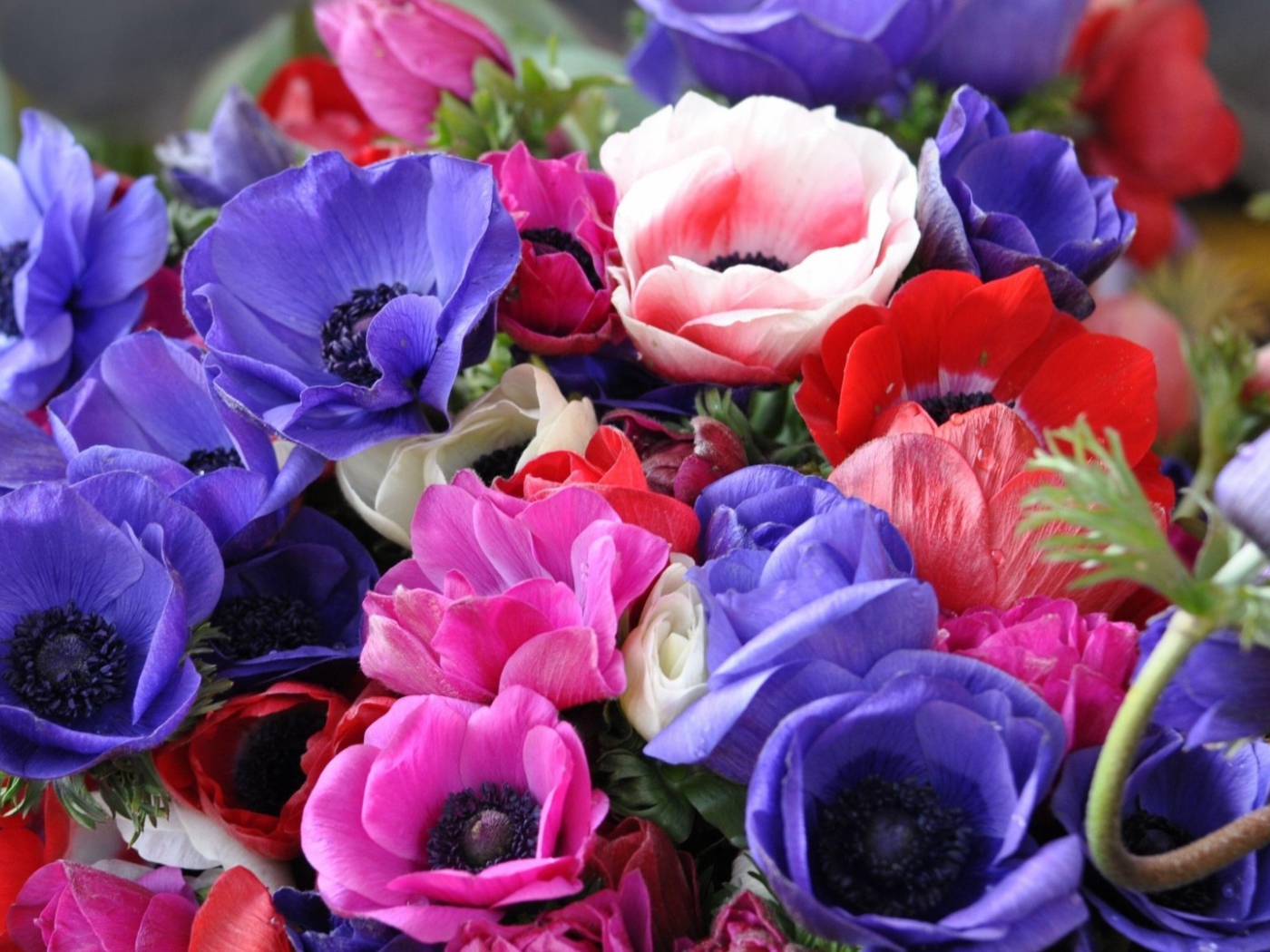 Яркий букет на восьмое марта