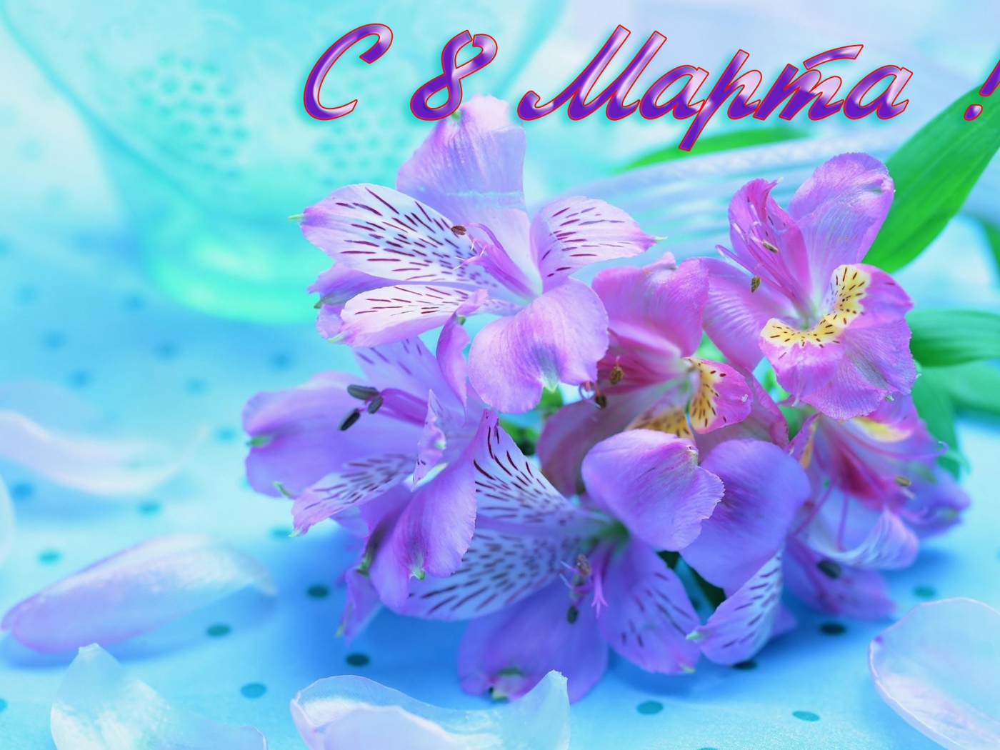 Сиреневые цветы на 8 марта