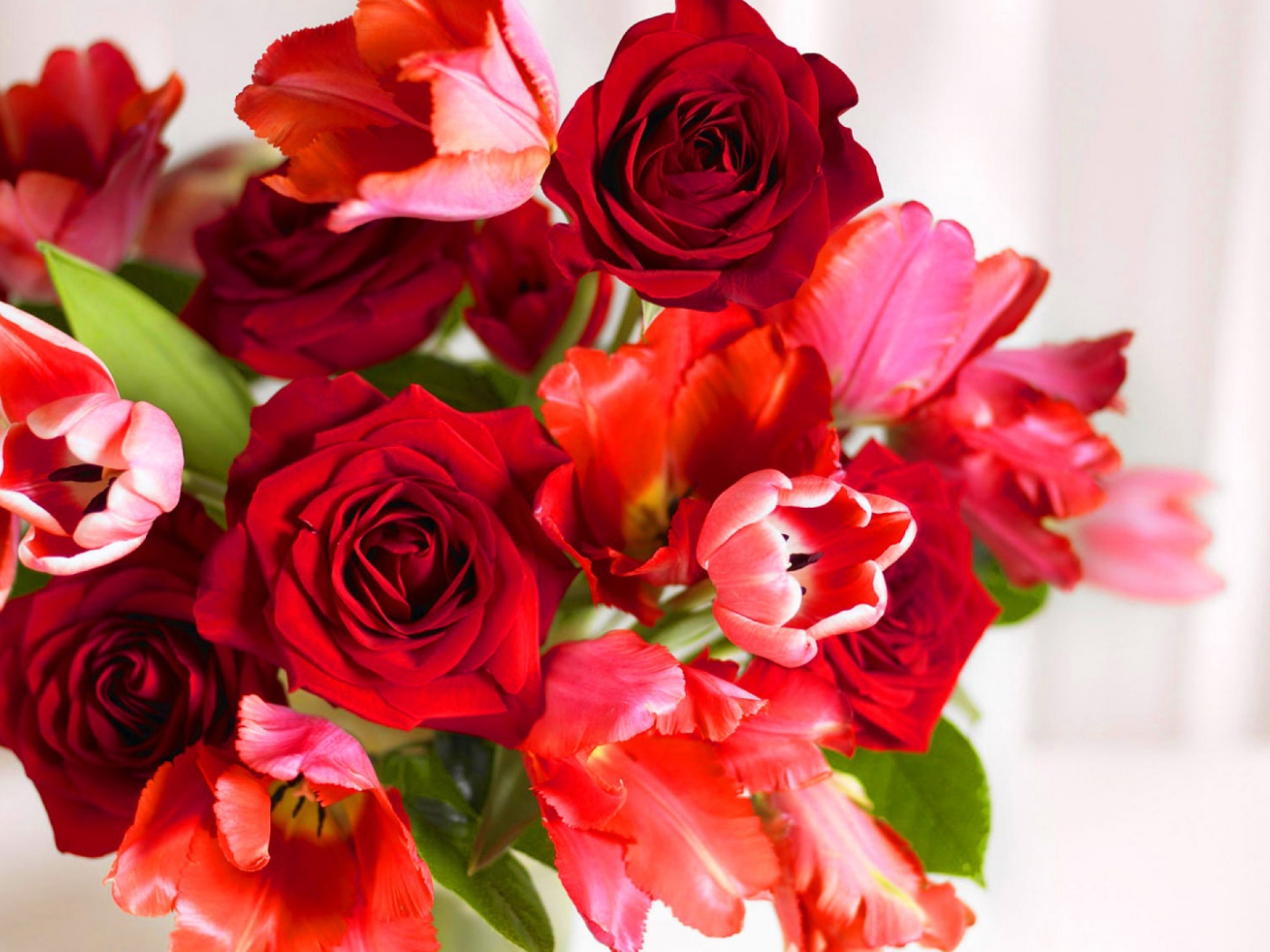 Красные розы и красные тюльпаны в подарок на восьмое марта