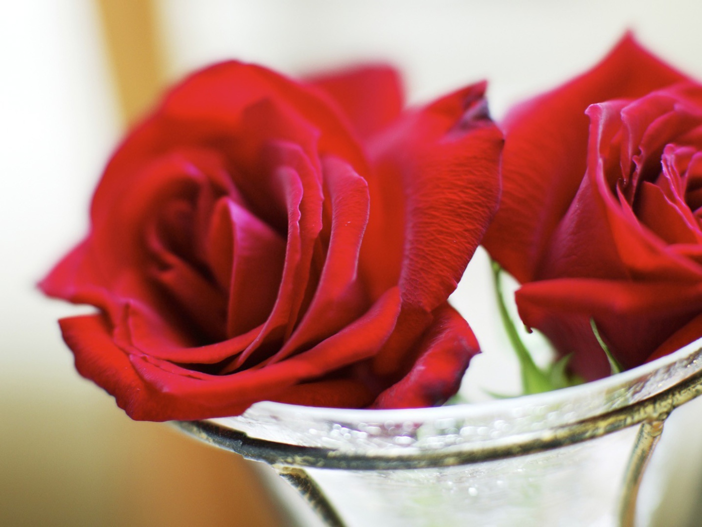 Красные розы в стеклянной вазе на восьмое марта