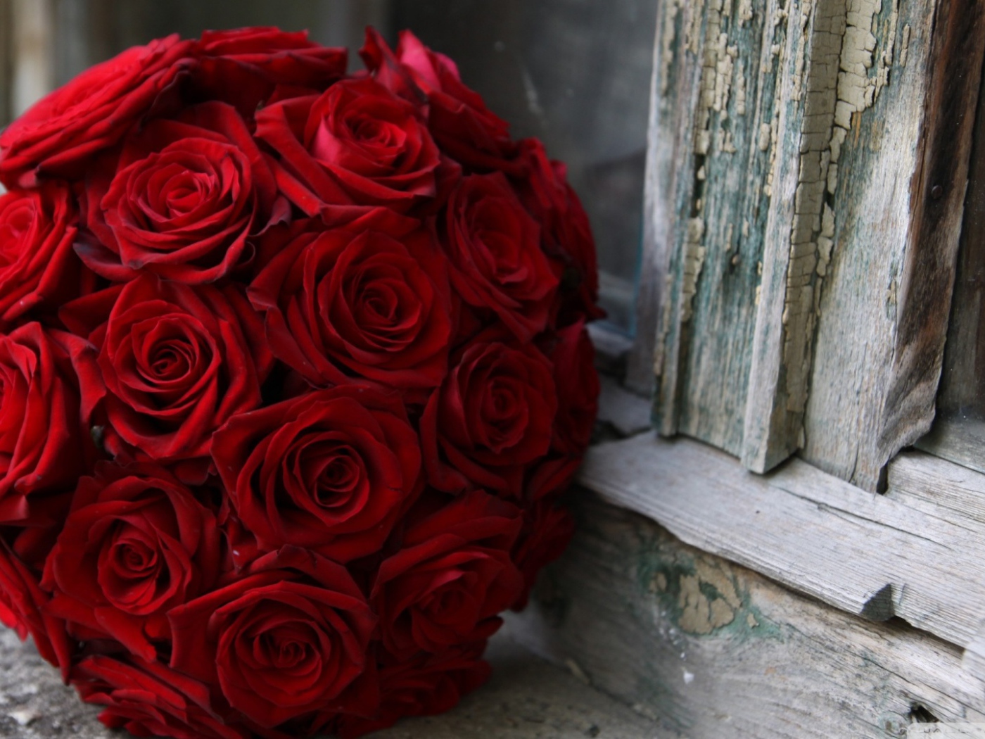 Красные розы на 8 марта возле окна